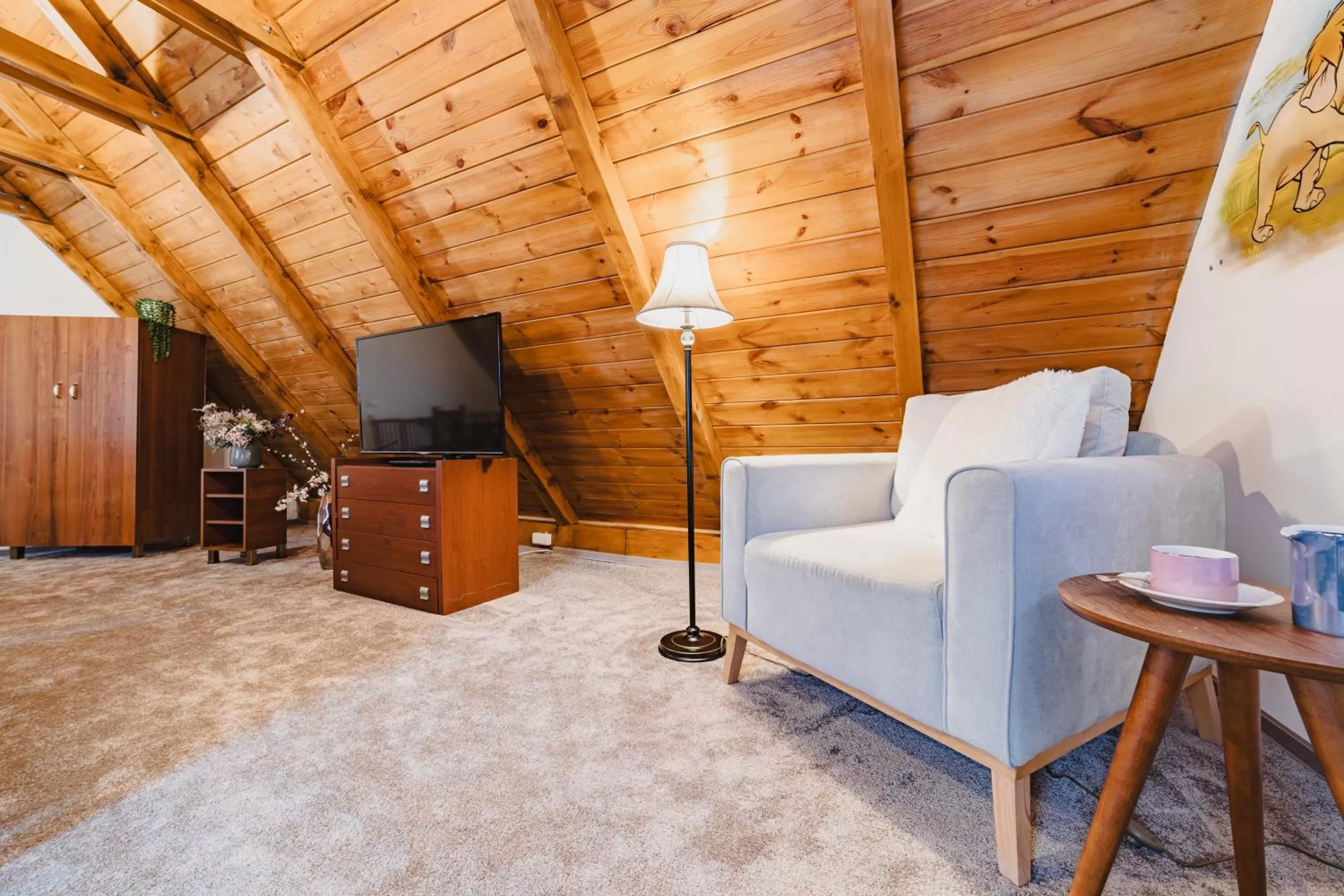 TV and multimedia in ALBERT RESIDENCE Brasov with complimentary parking and 10 percent Food and Drinks