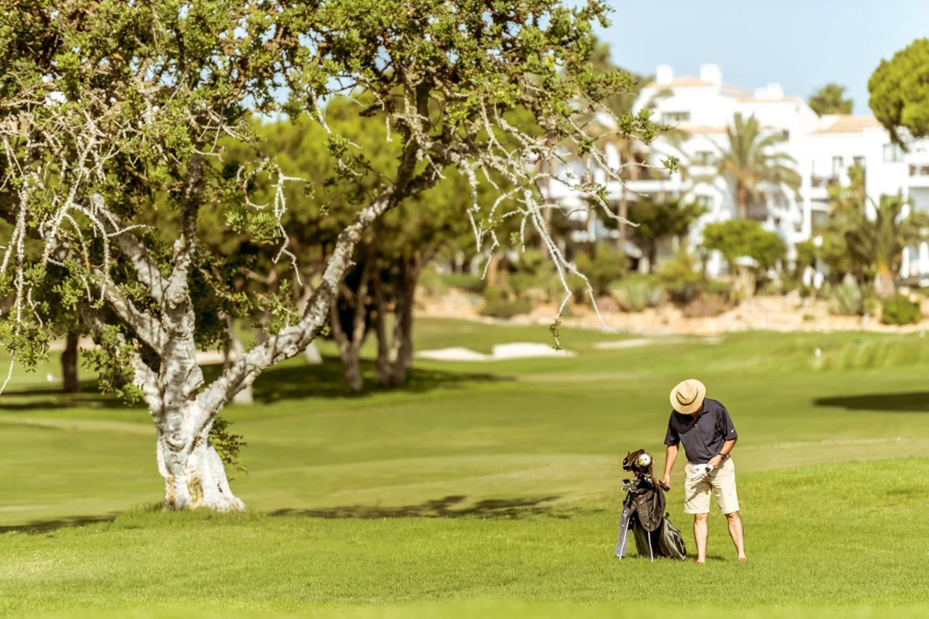 Other in Pine Cliffs Residence, a Luxury Collection Resort, Algarve