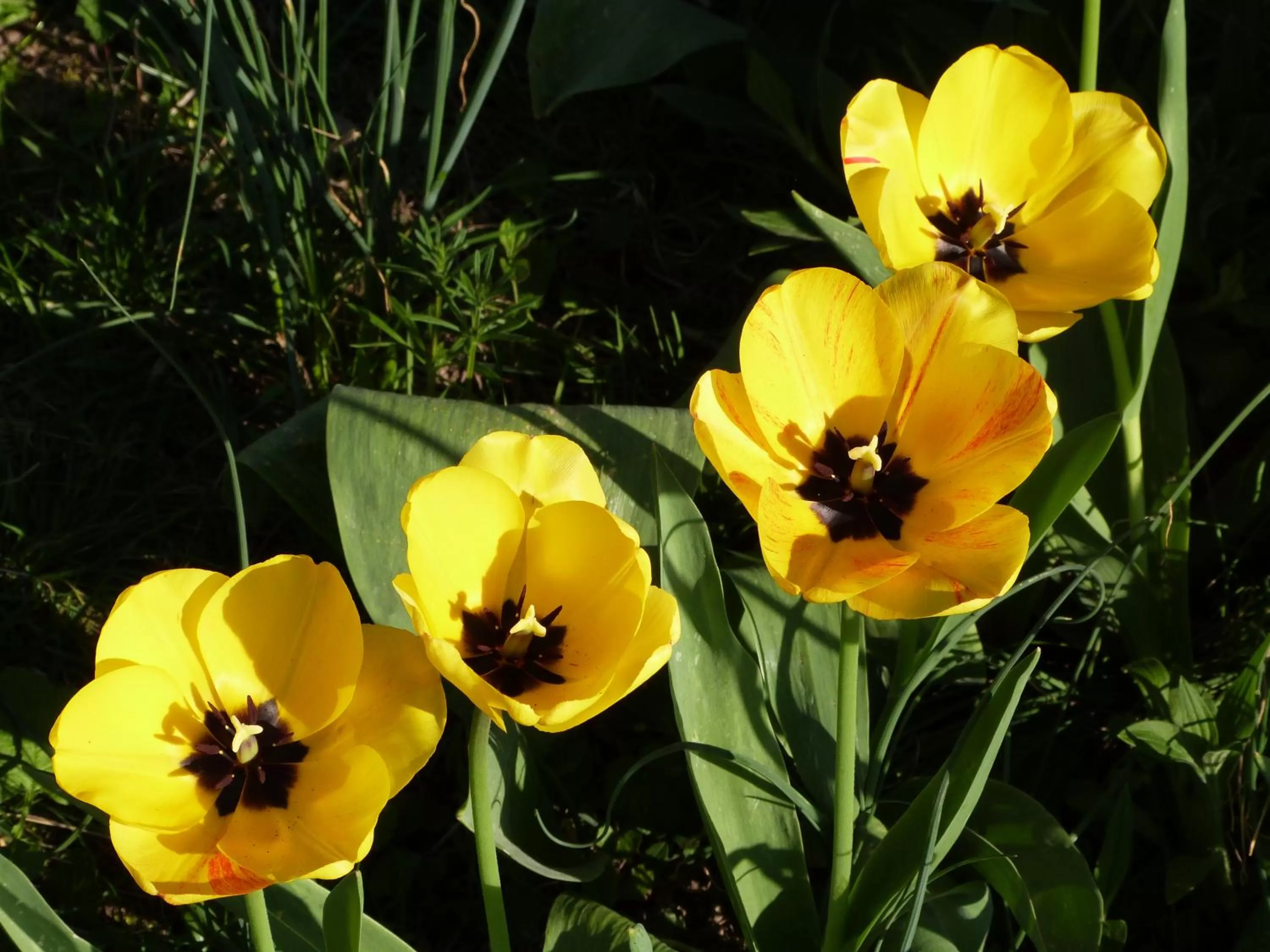 Property building in Les Rêves de Flamboin