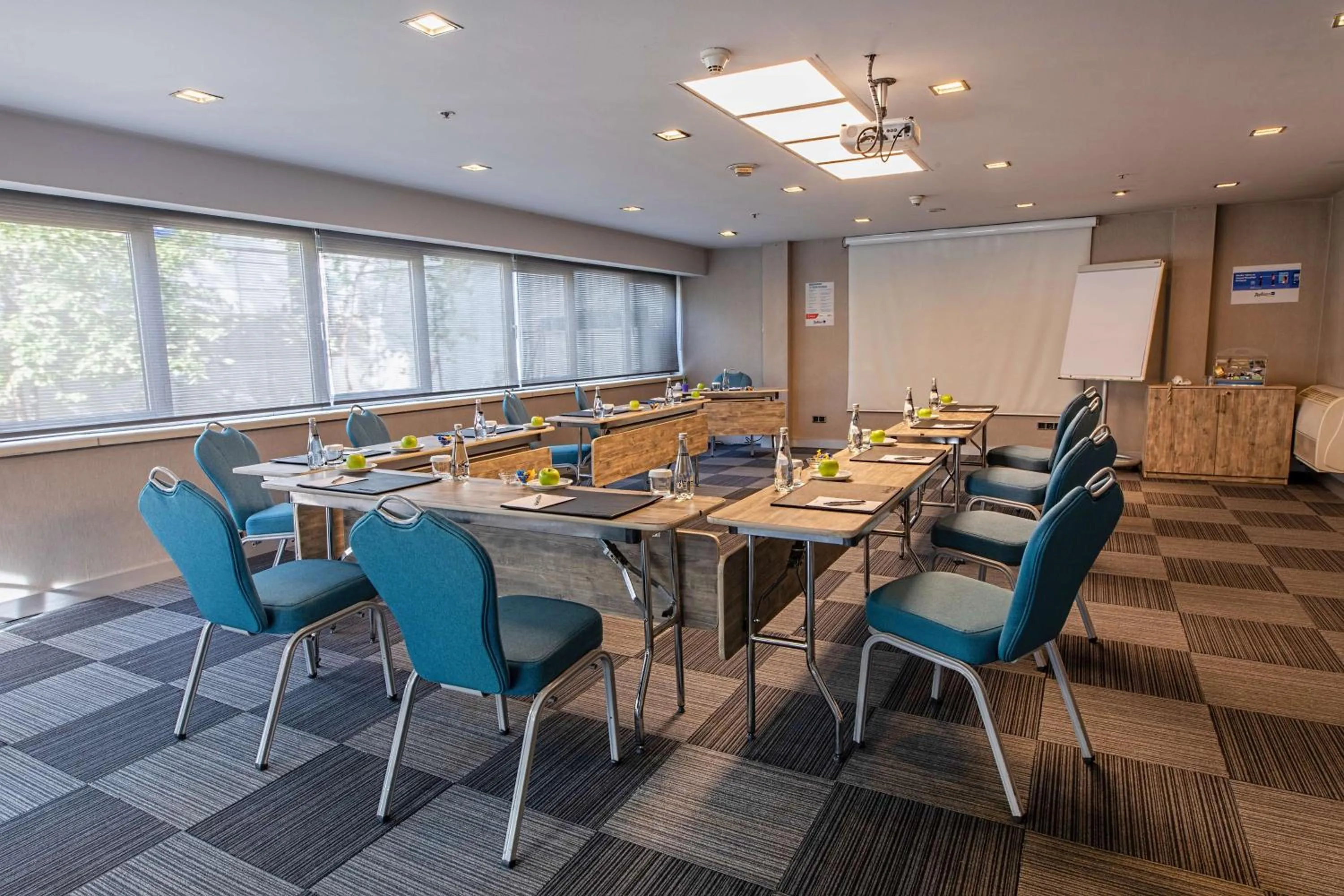 Meeting/conference room in Radisson Blu Ankara