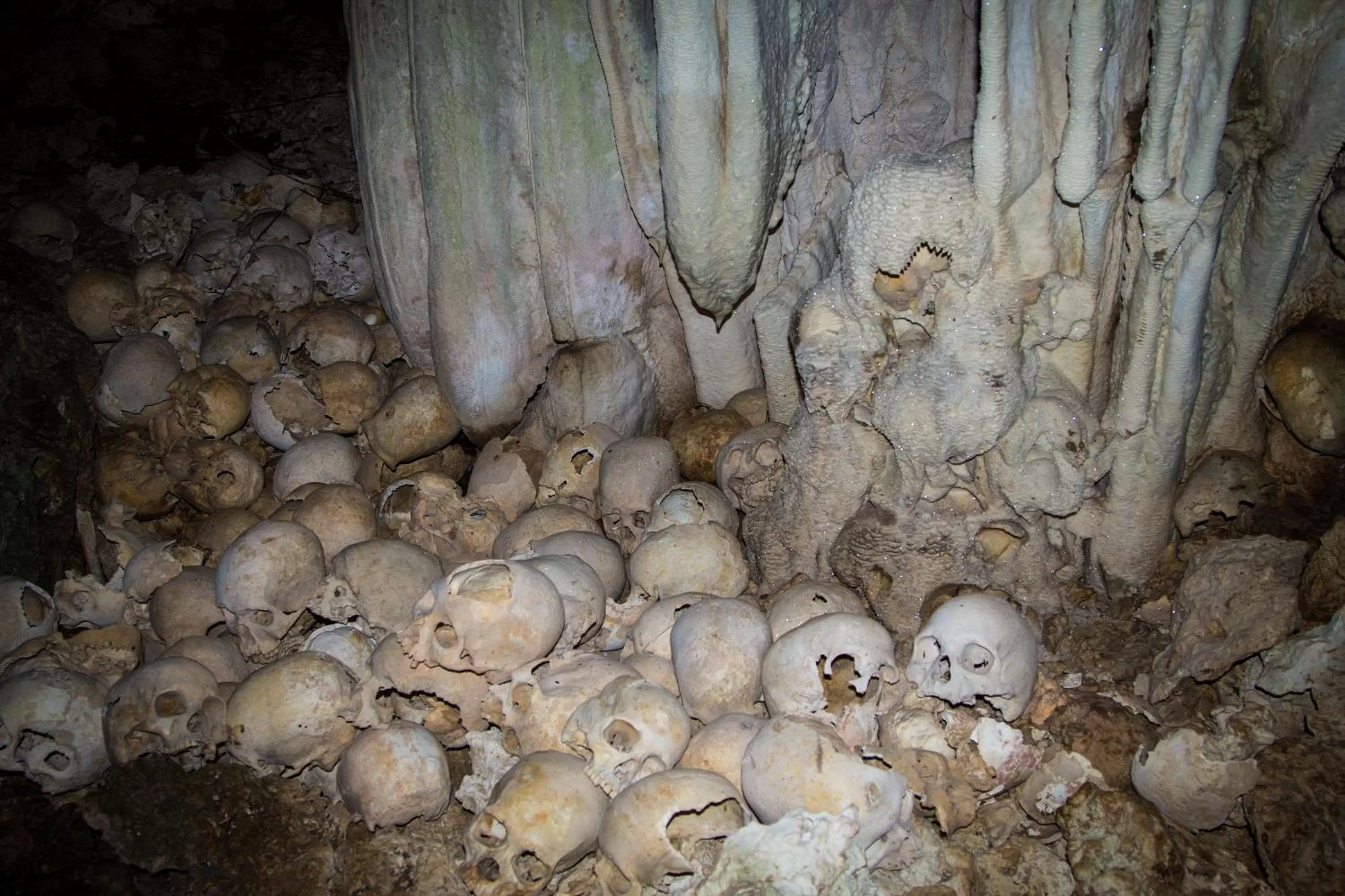 Other in Tawali Leisure & Dive Resort