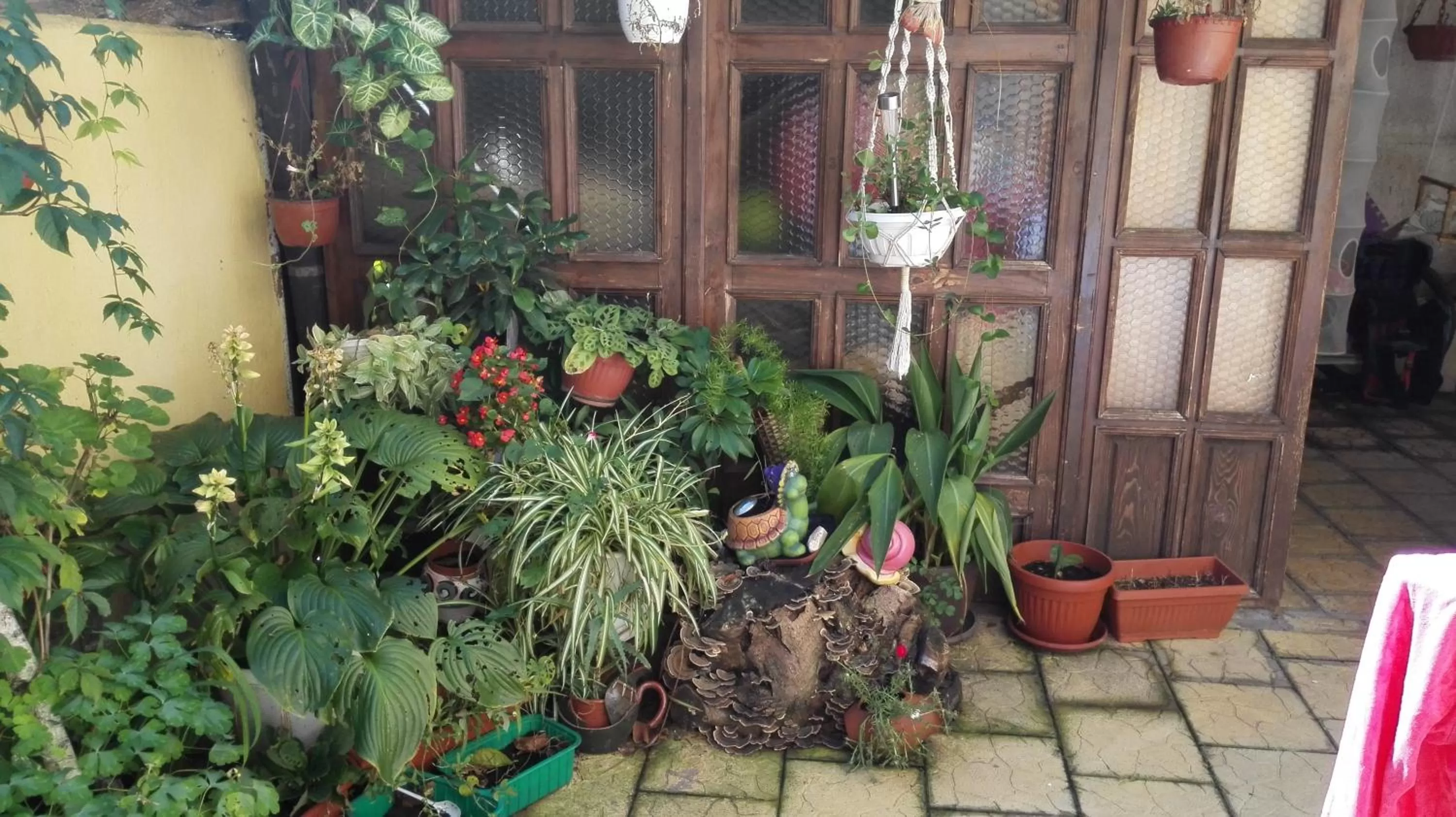 Patio in Hotel Paradise