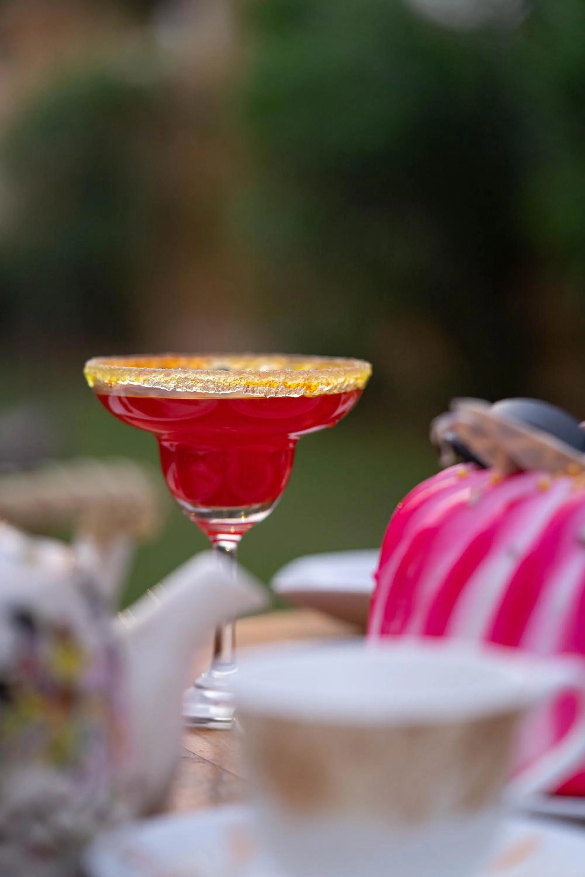 Chokhi Dhani The Palace Hotel