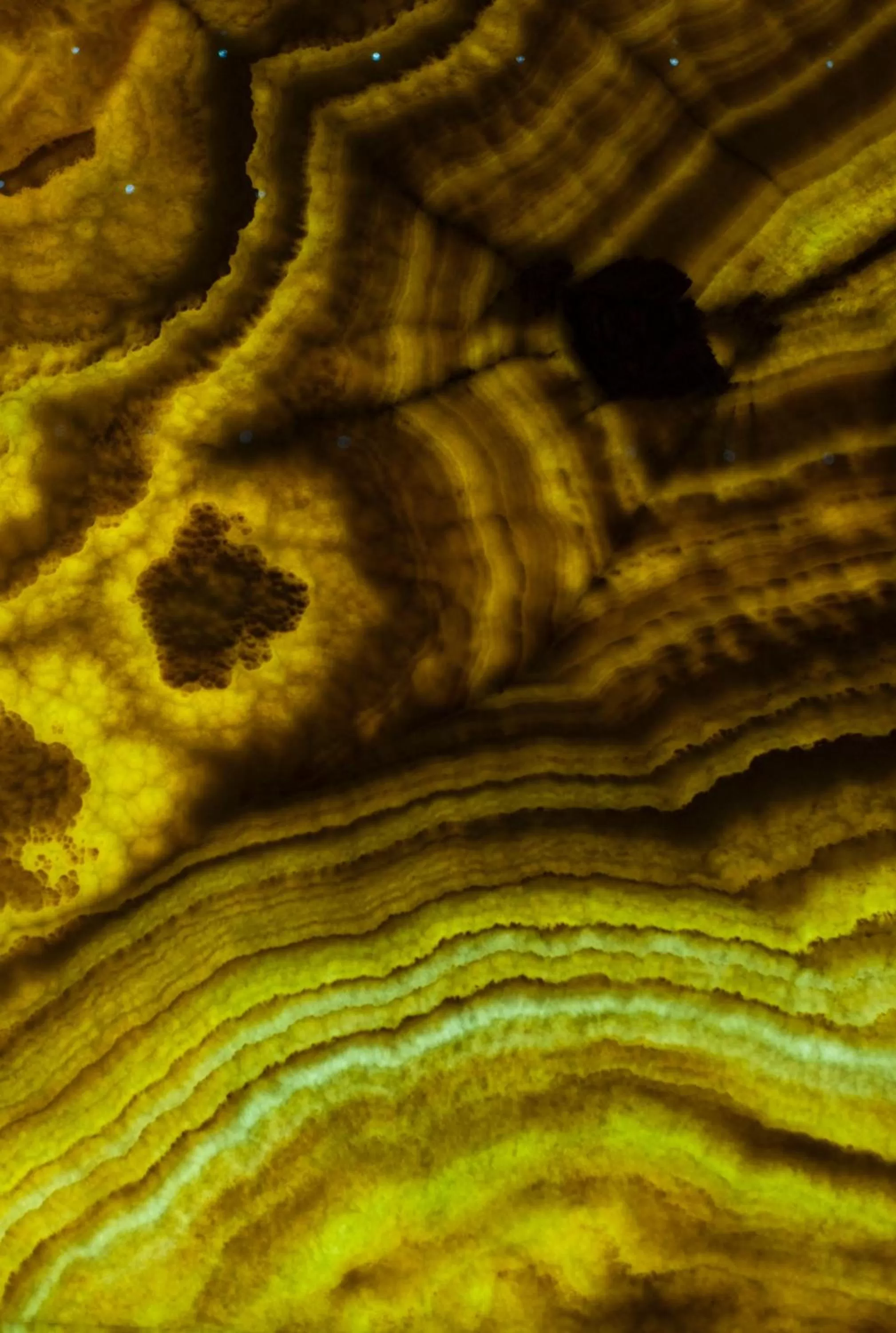 Decorative detail in WELLNESS HOTEL LÖWE