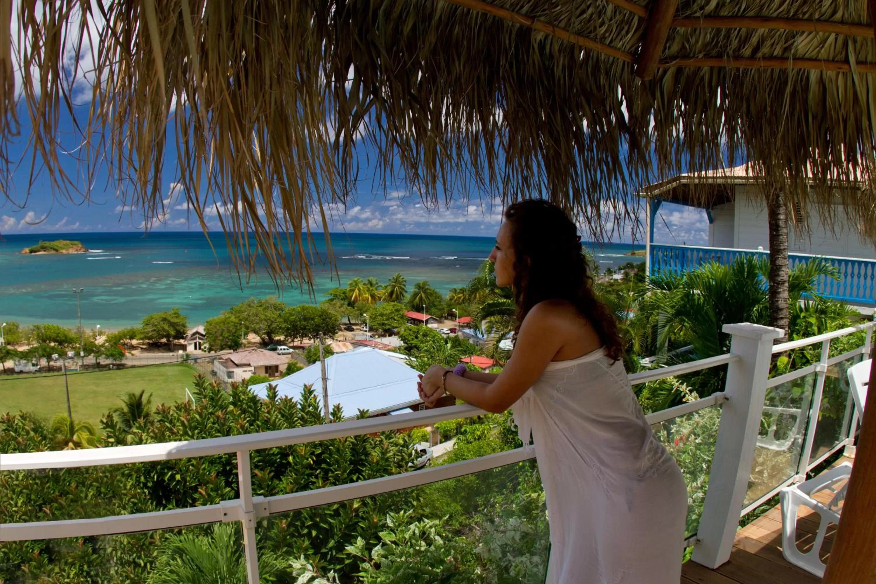 Swimming pool in Hotel Le Manguier