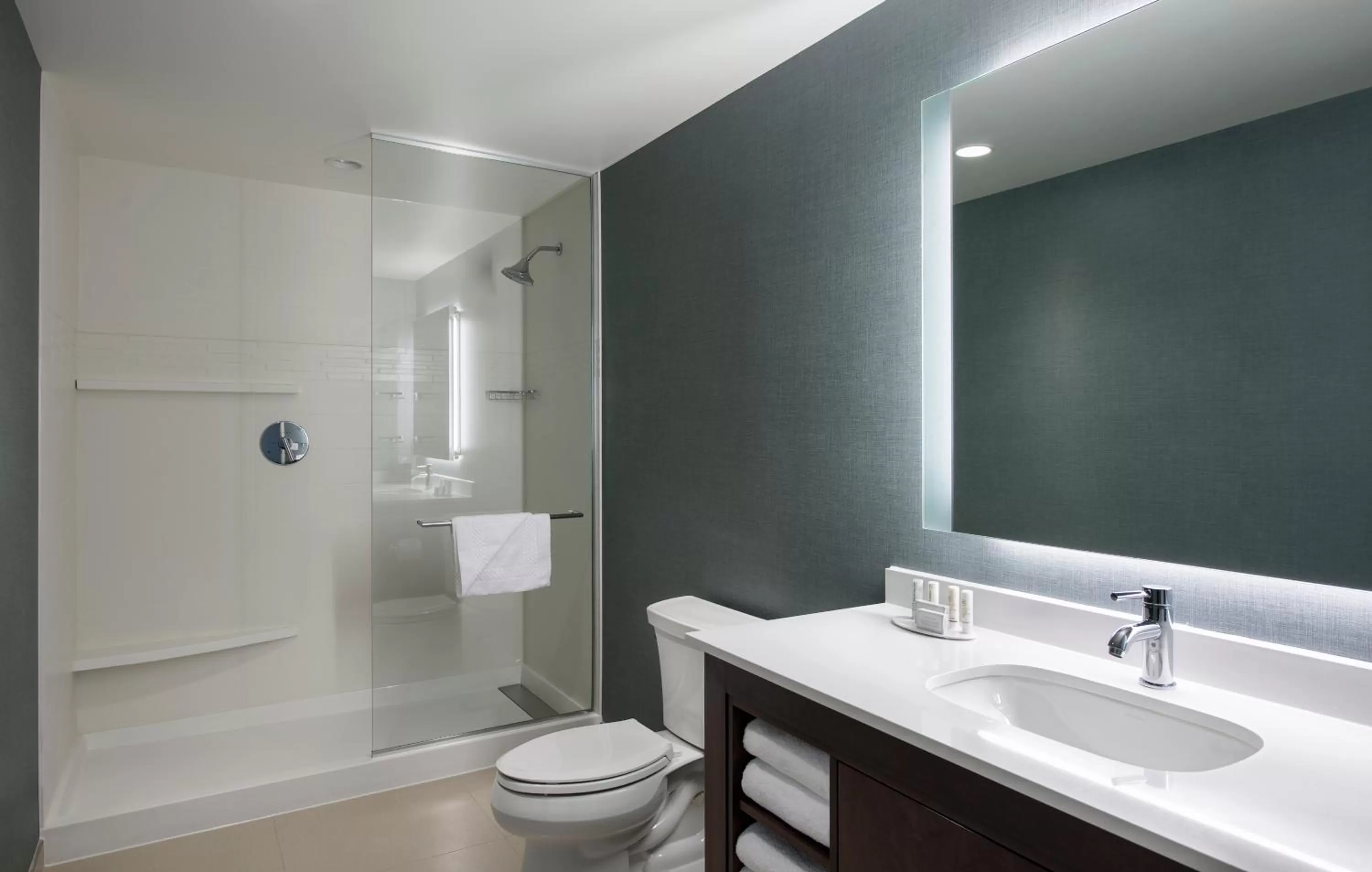 Shower in Residence Inn by Marriott Calgary South