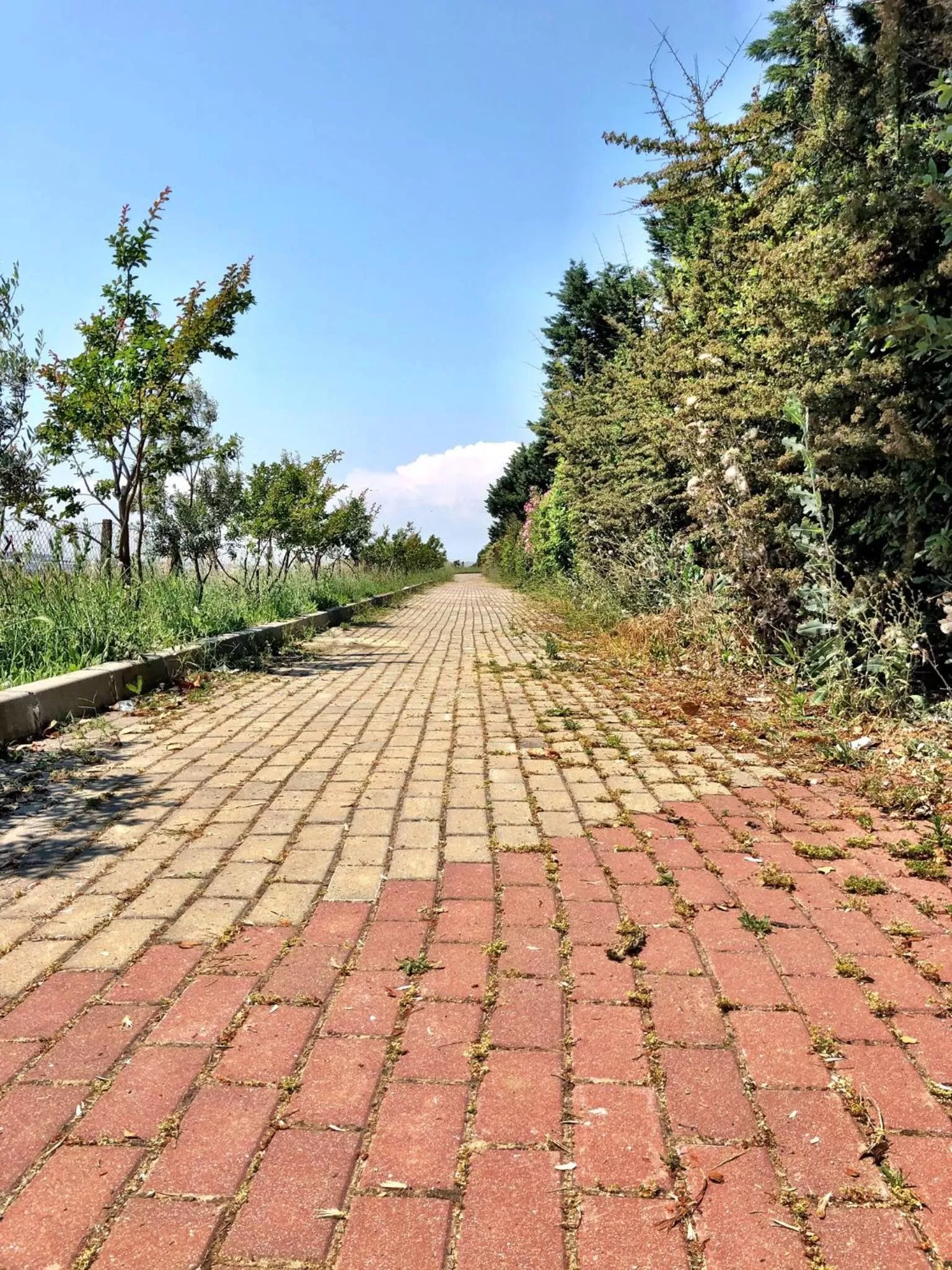 Natural landscape in Family Resort Hotel