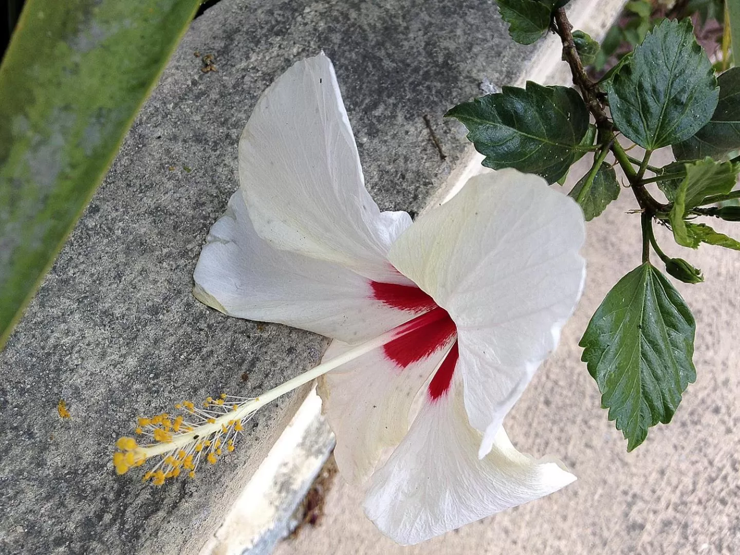 Hôtel A casa di Maria Cicilia