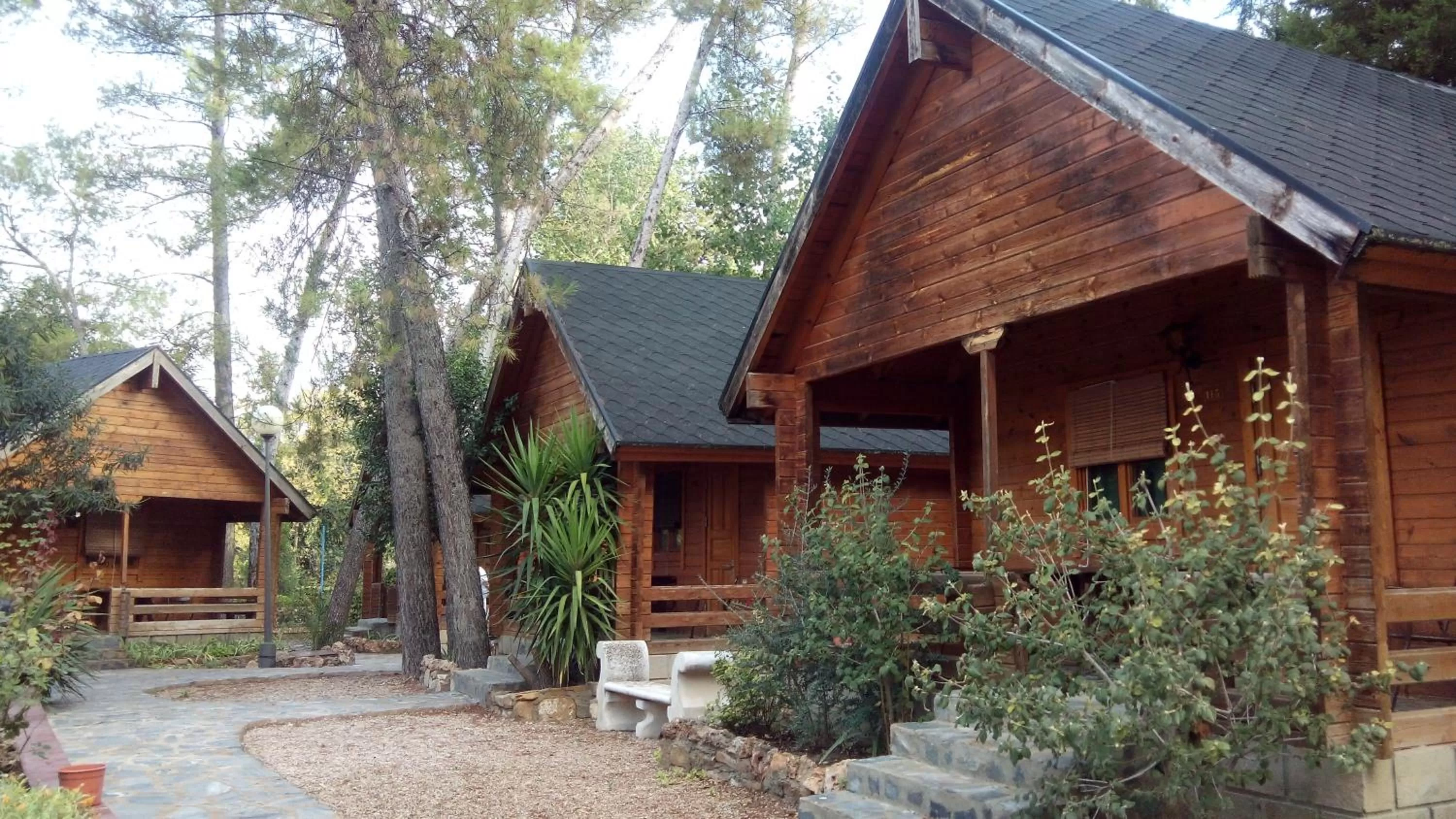 Garden in Balneario San Andres