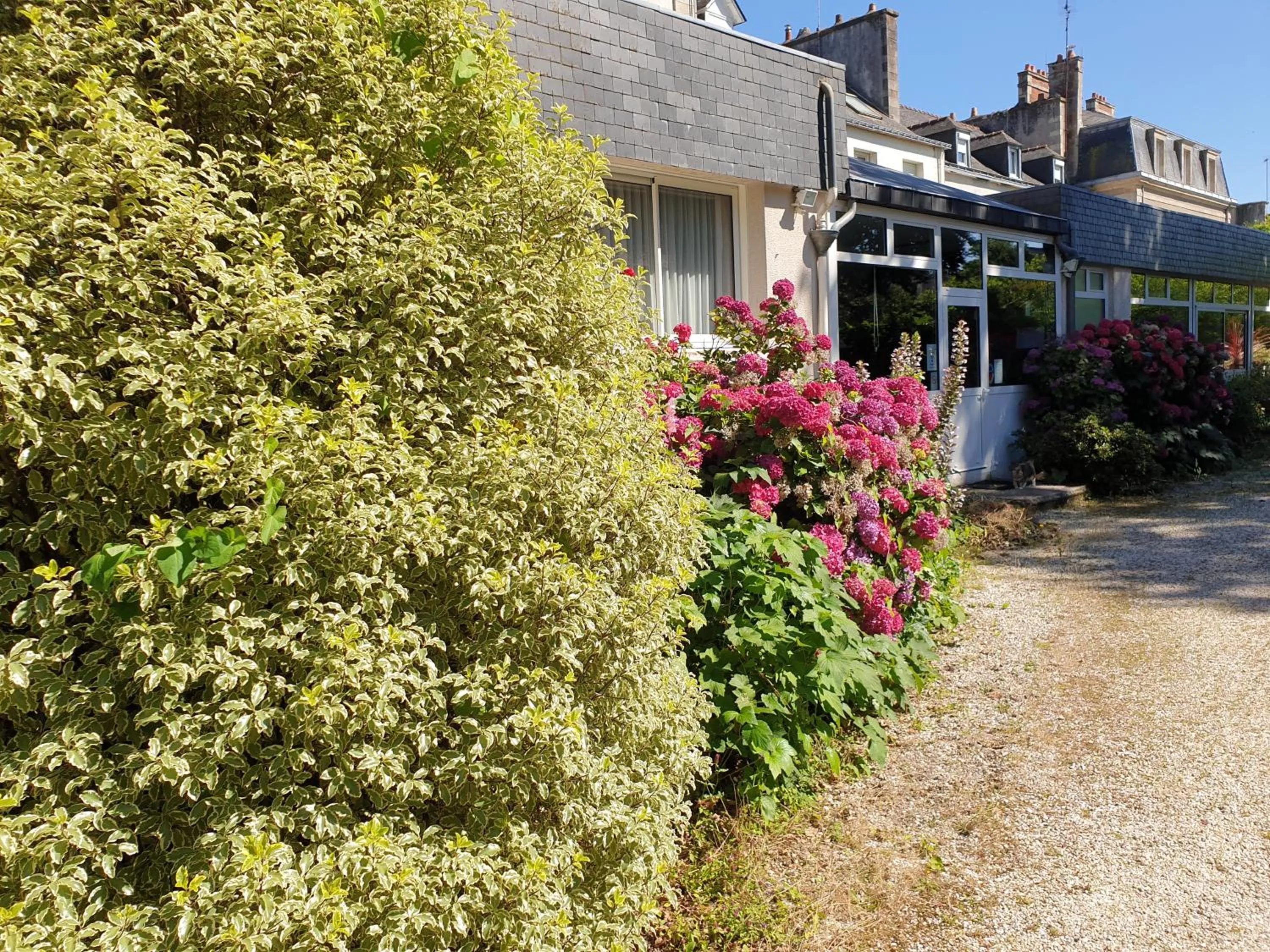 Garden in Hôtel Le Rohan Charme et Caractère