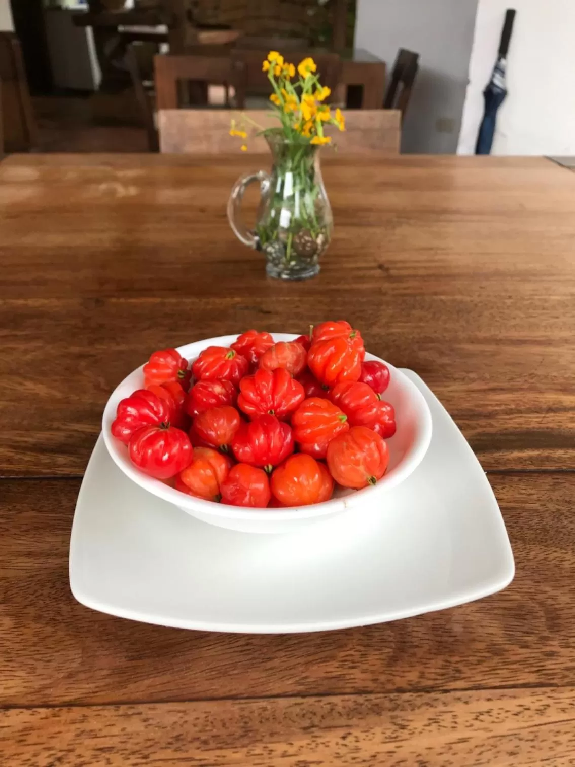 Food and drinks in Achiotte by Masaya Collection