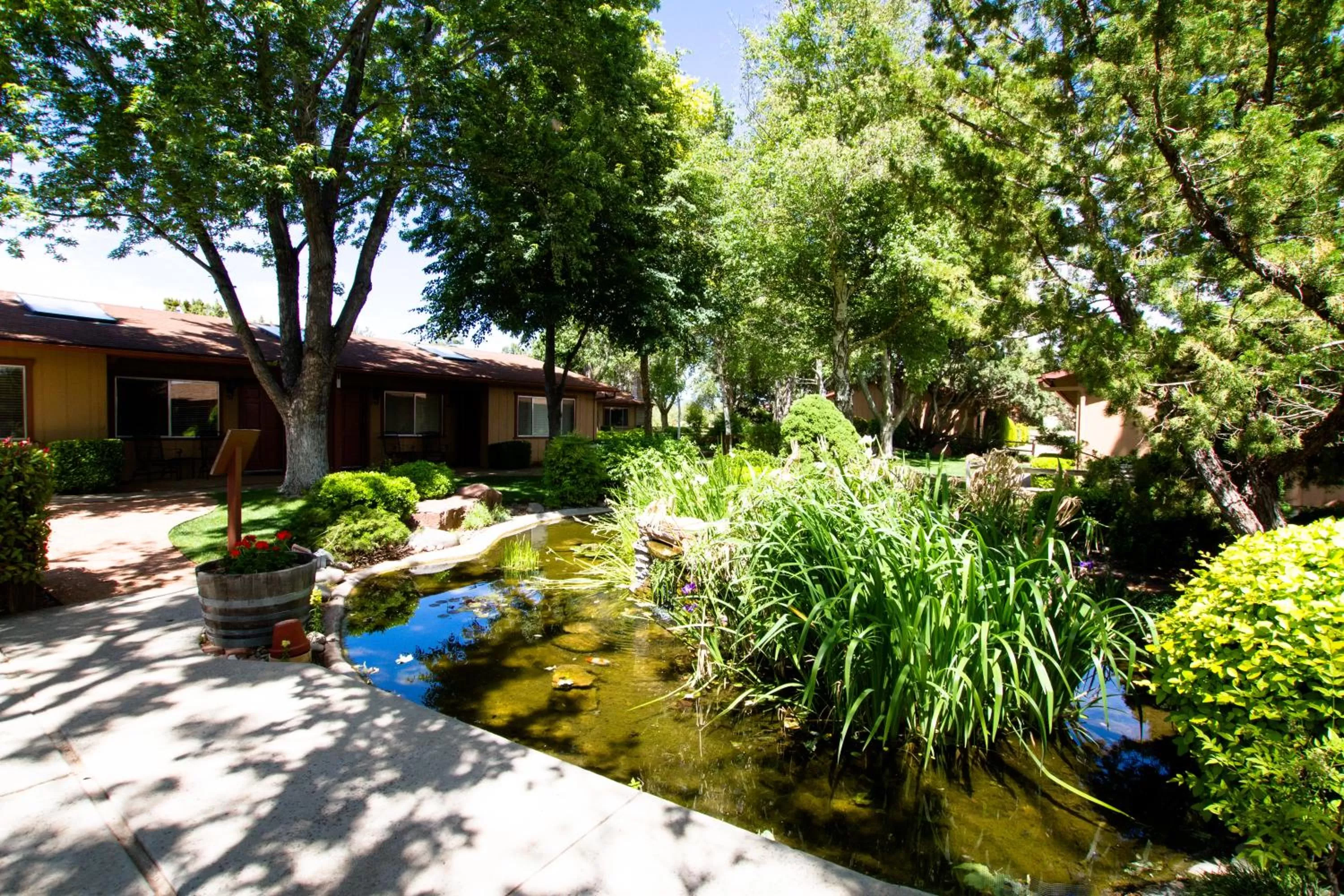 Natural landscape in Sky Ranch Lodge