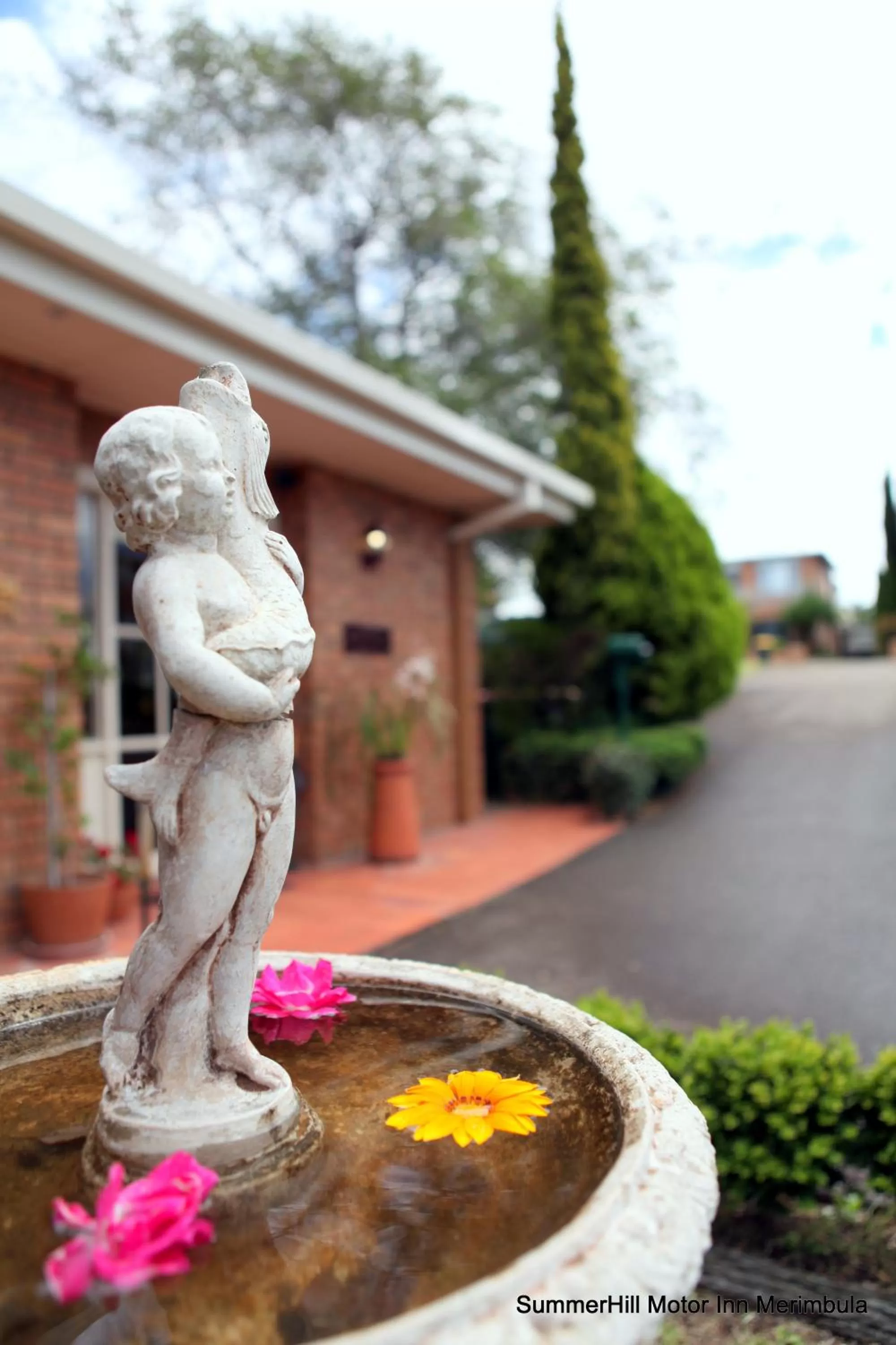 Garden in Summerhill Motor Inn
