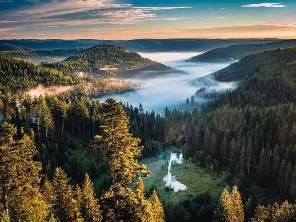 Natural landscape in Hotel Restaurant Kniebishöhe