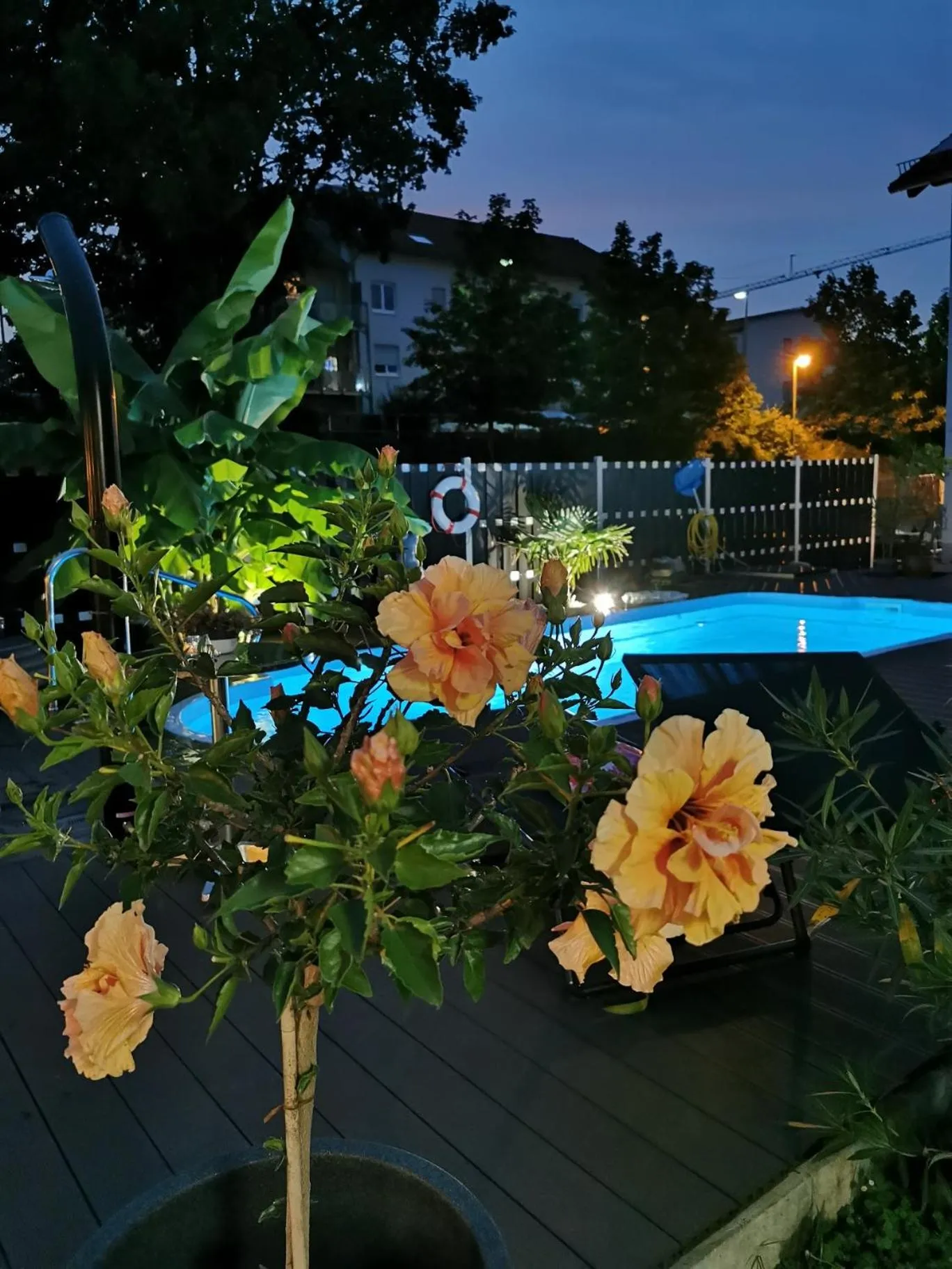 Pool view in Apartmenthaus Wertheim