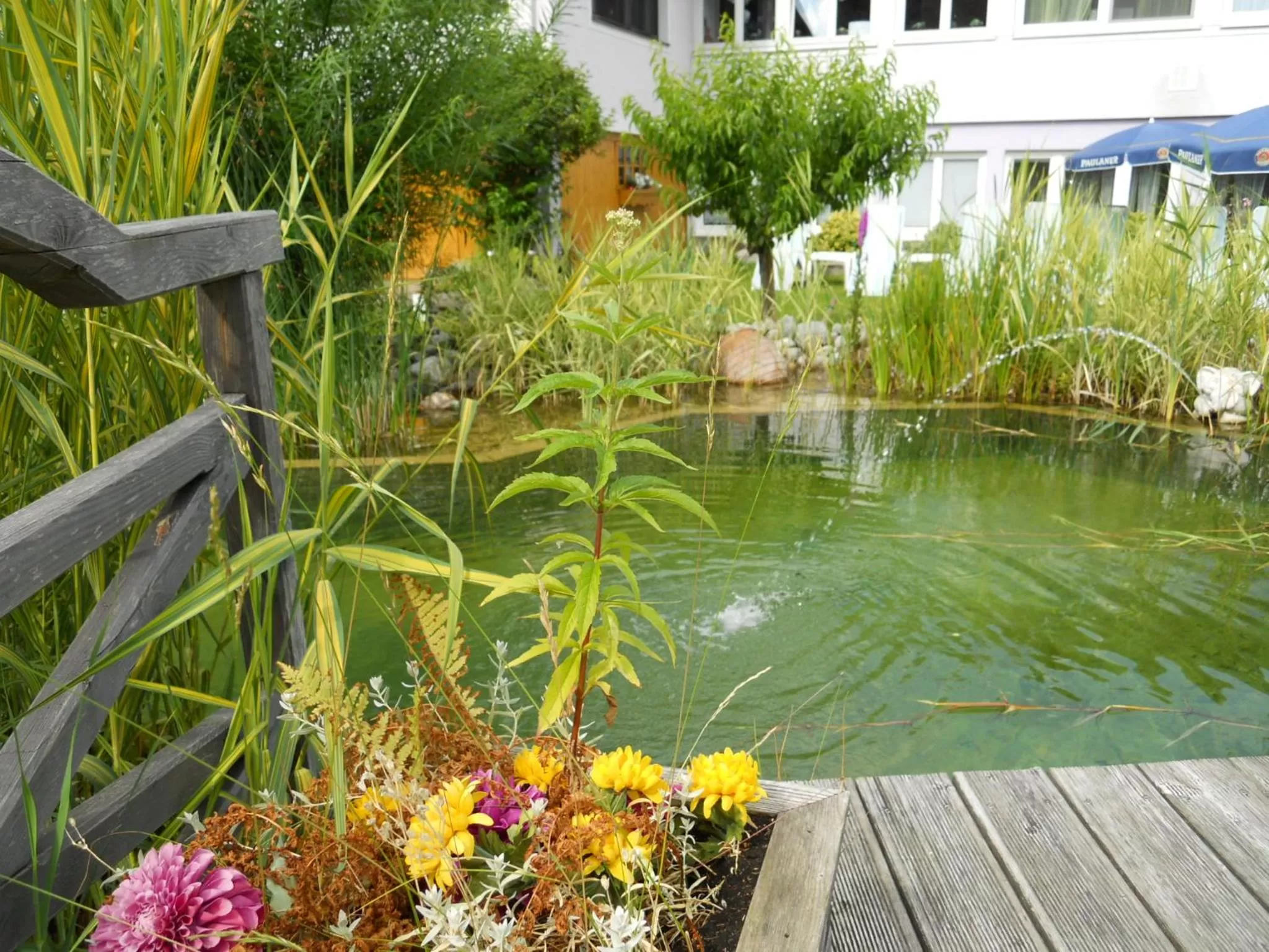 Garden in Hotel Paradiesquelle