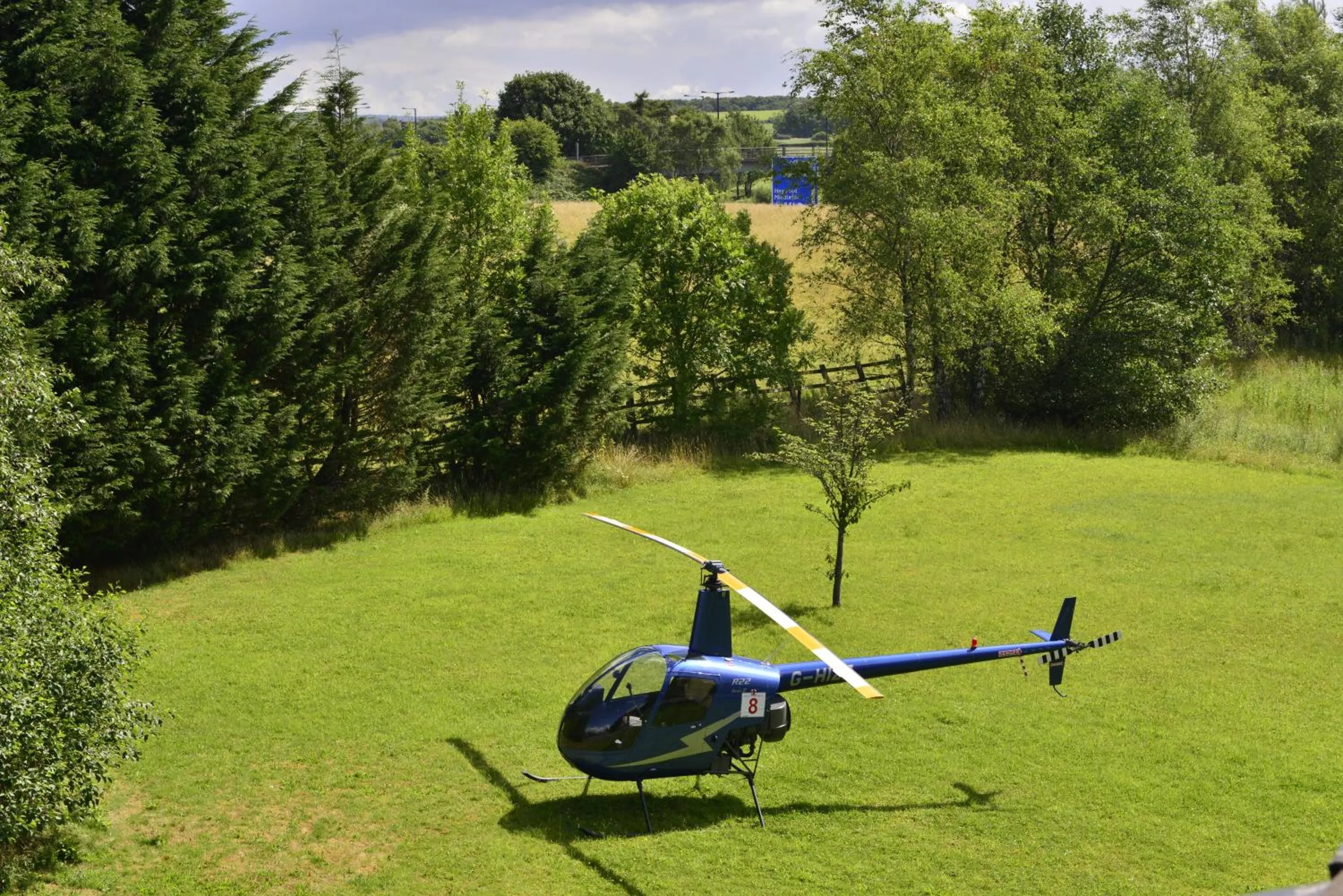 Garden in Birch Hotel