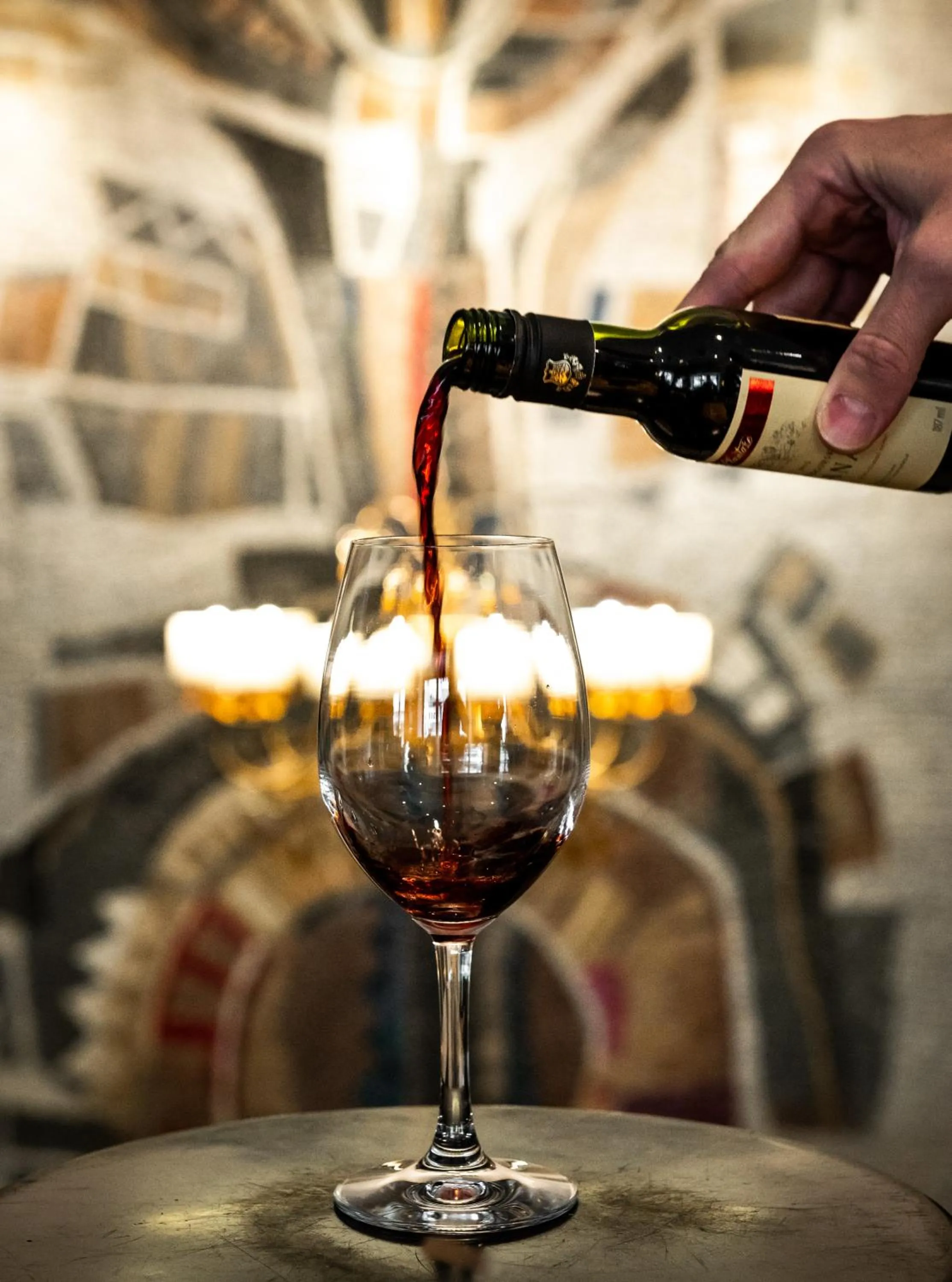 Lounge or bar in Hotel Royal Inn