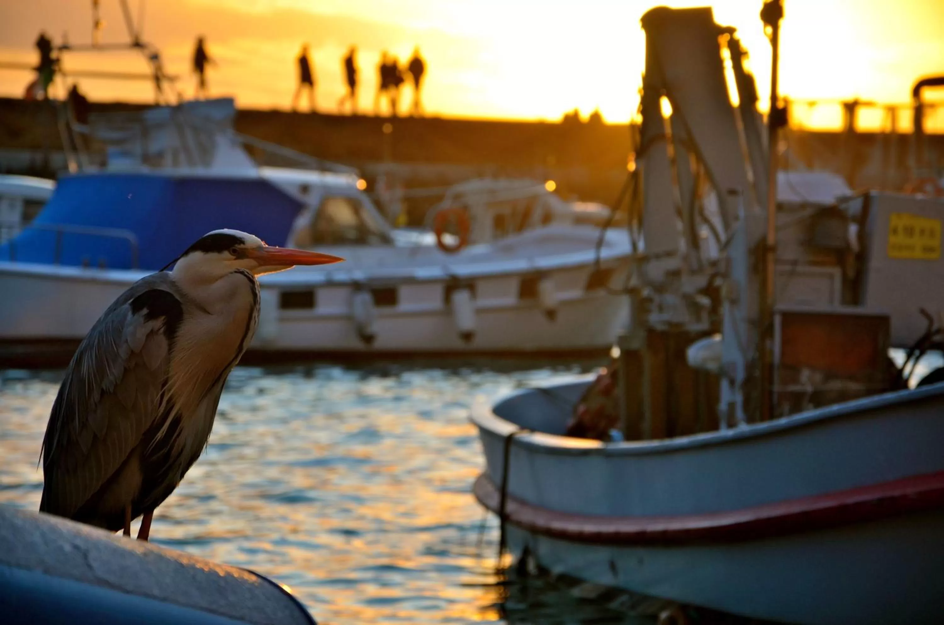 Nearby landmark in I Tre Merli Locanda