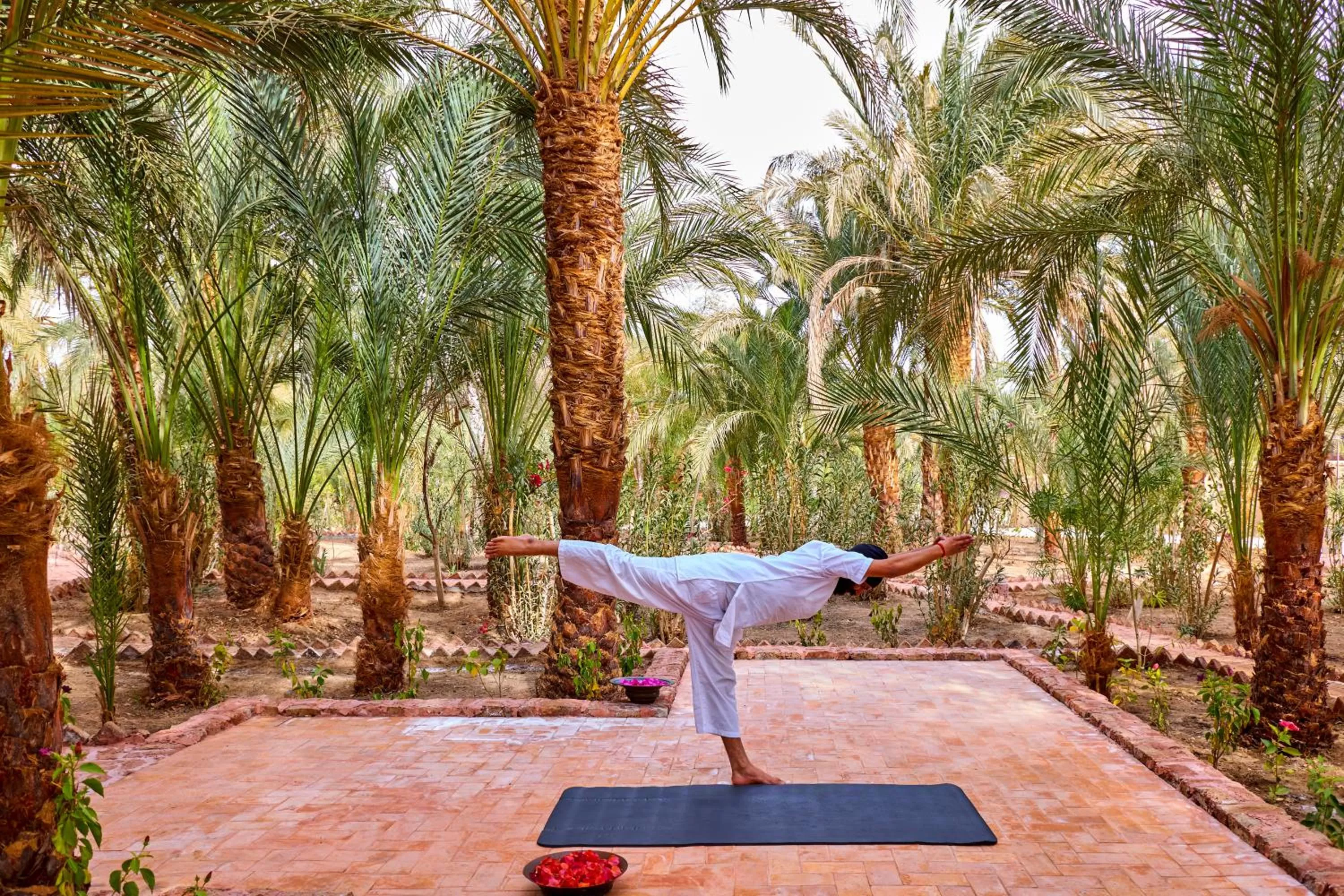 Fitness centre/facilities in Al Moudira Hotel