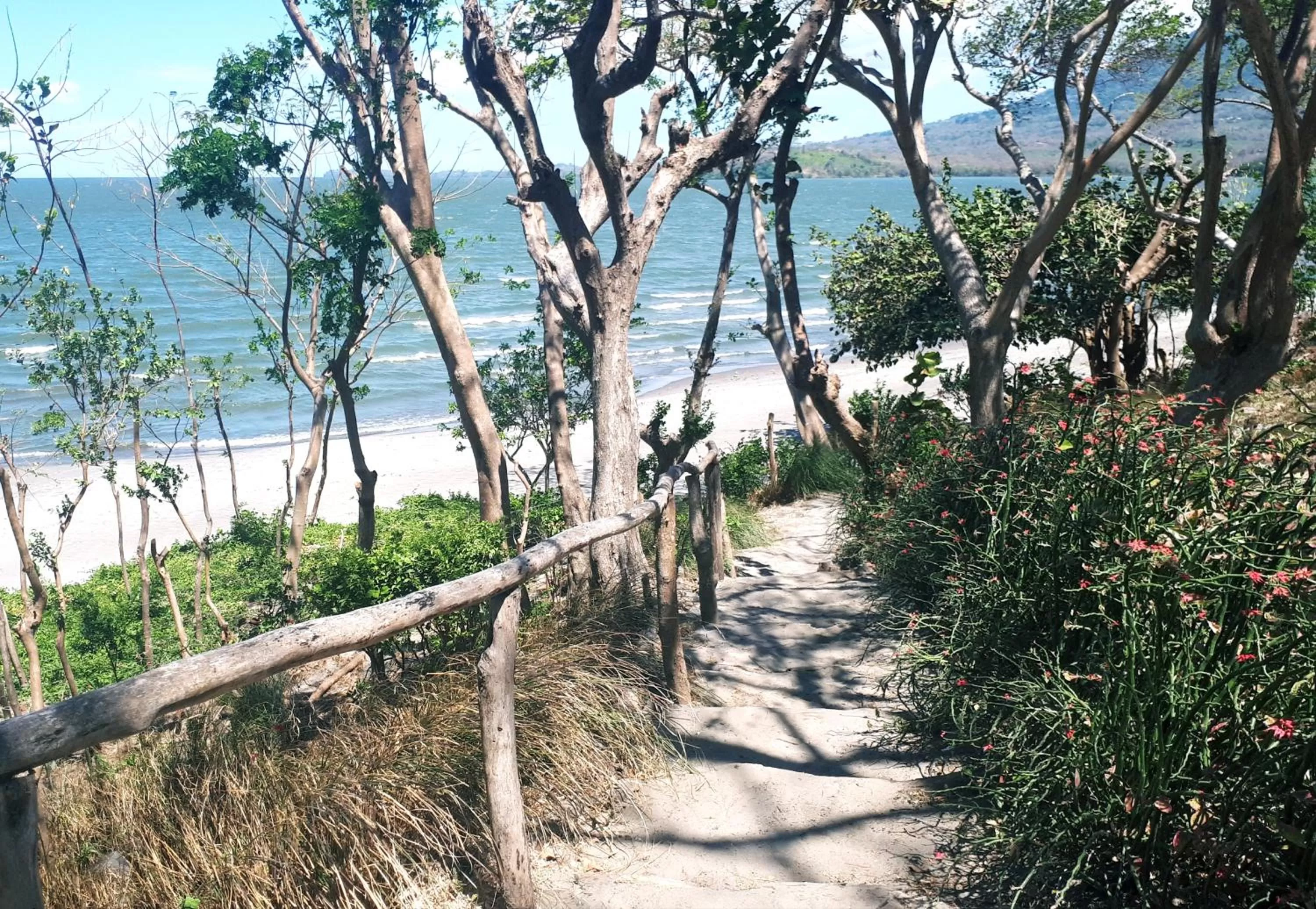 Natural landscape in Xalli Beach Hotel