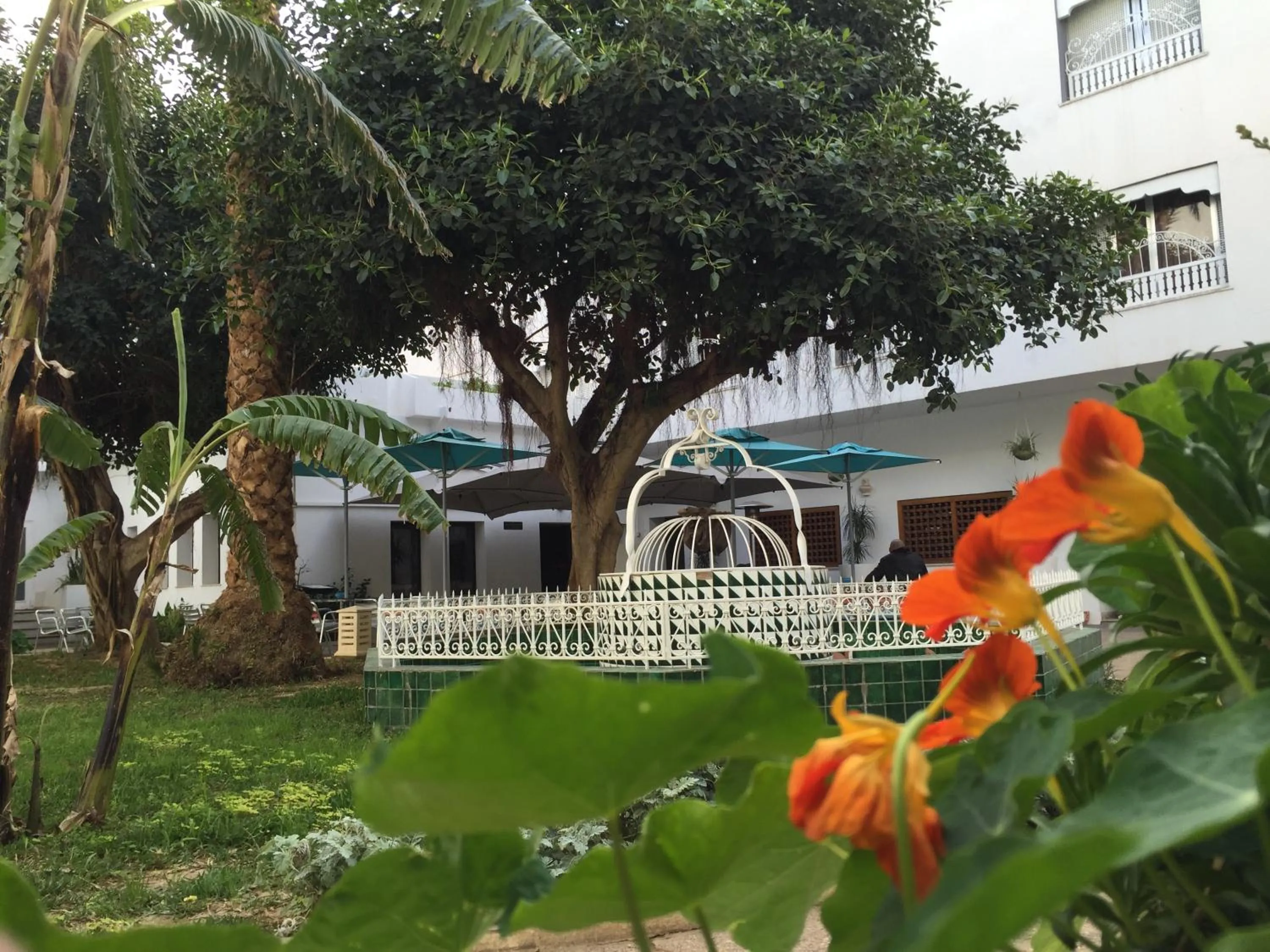 Garden in Hotel La Residence Hammamet