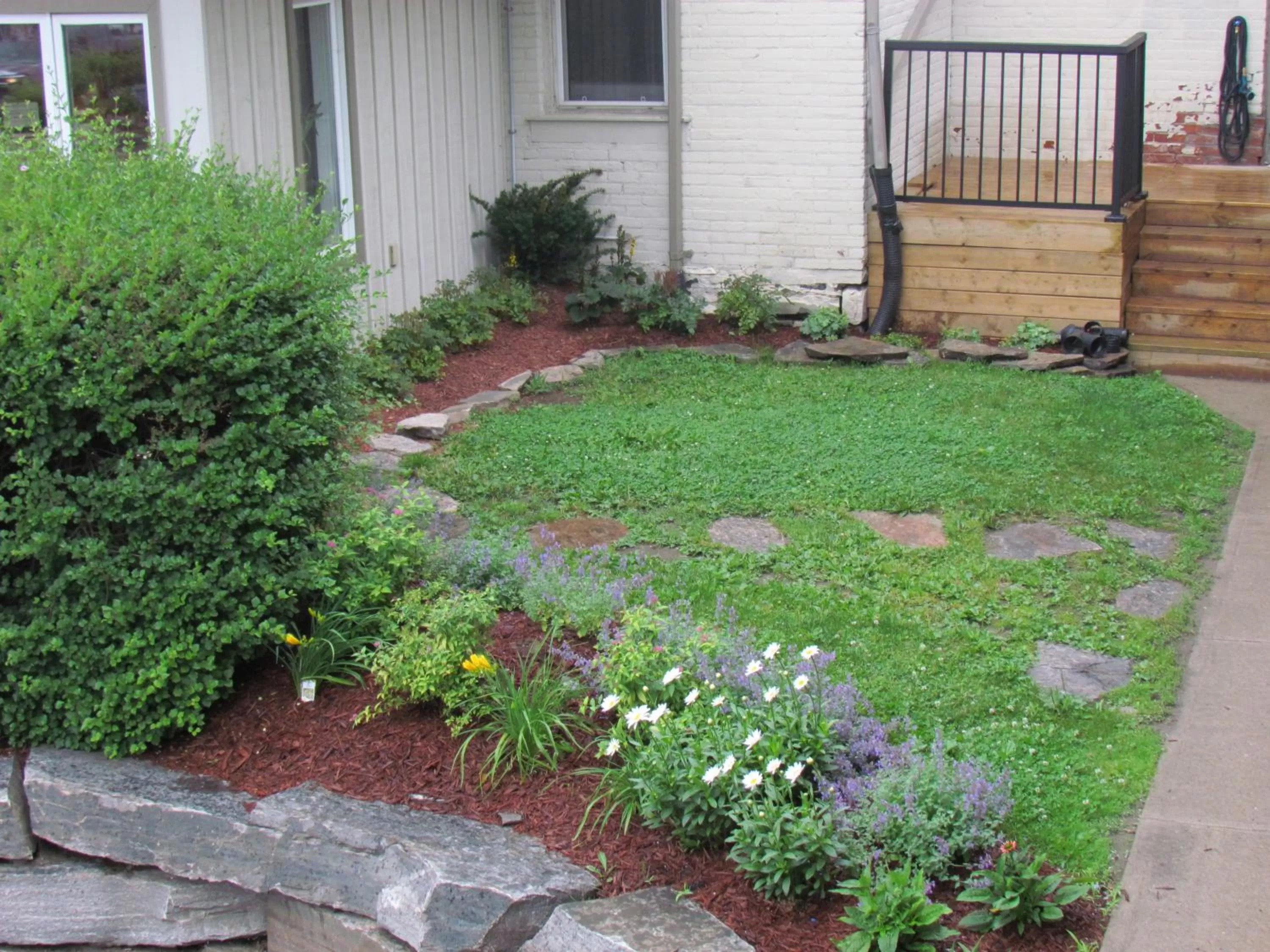 Natural landscape in Rodeway Inn King William