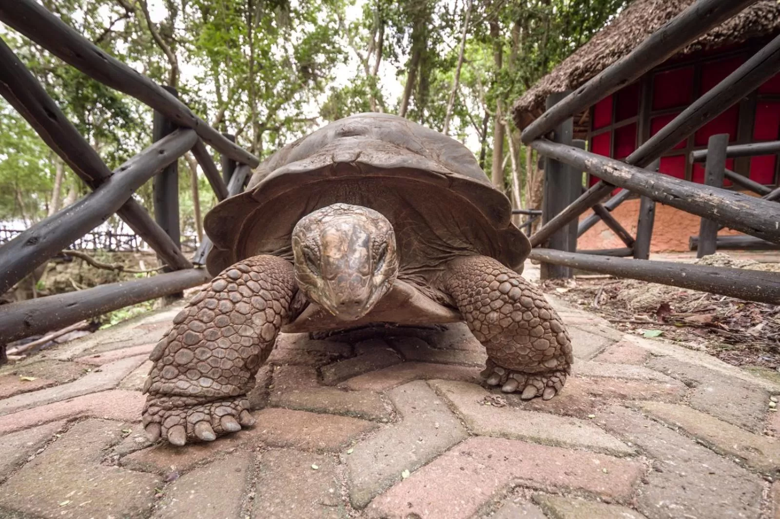 Off site in Kiwengwa Beach Resort