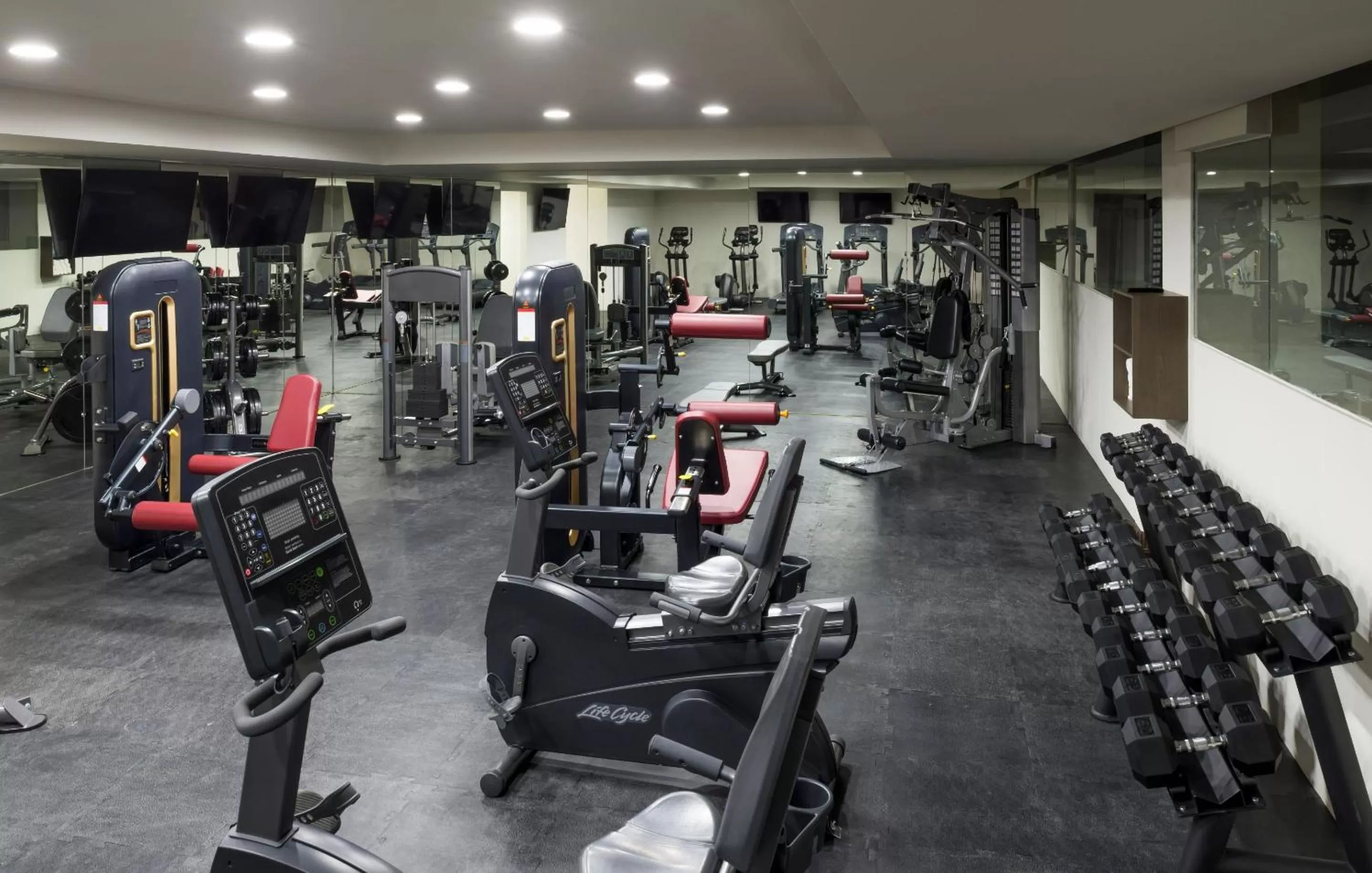 Fitness centre/facilities in Real Inn Celaya
