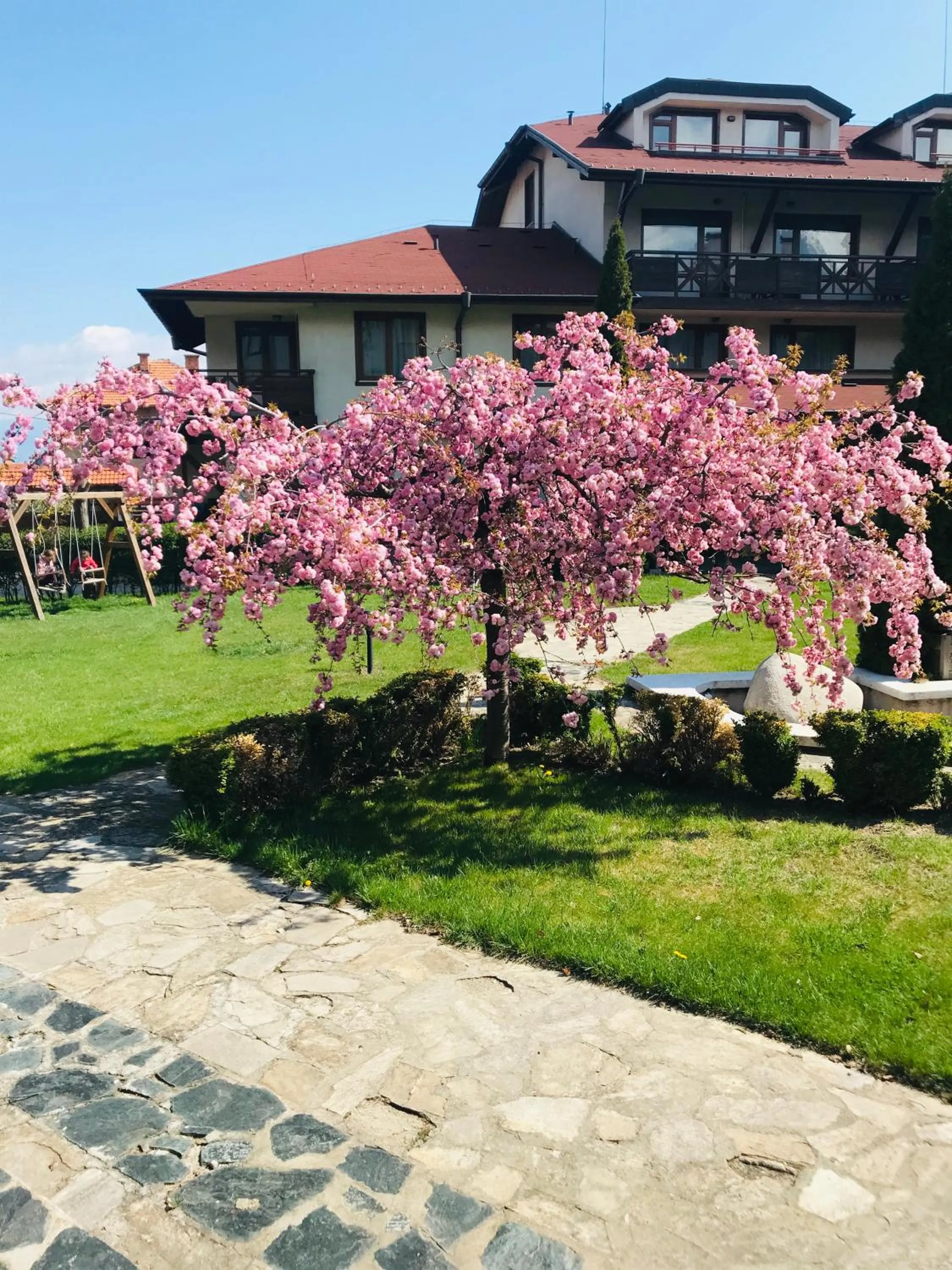 Garden in Evelina Palace Hotel