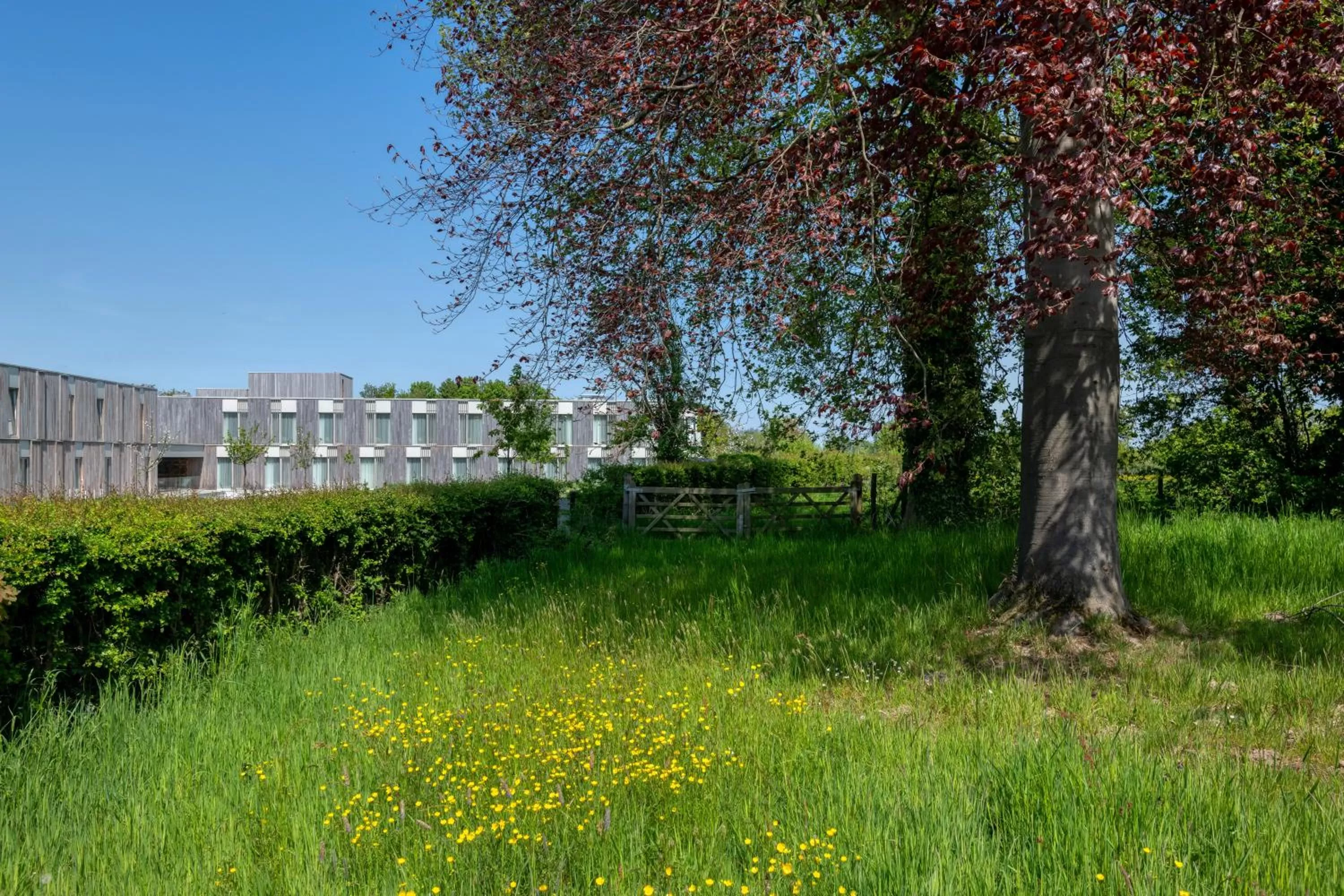 Property building in Martin's Rentmeesterij