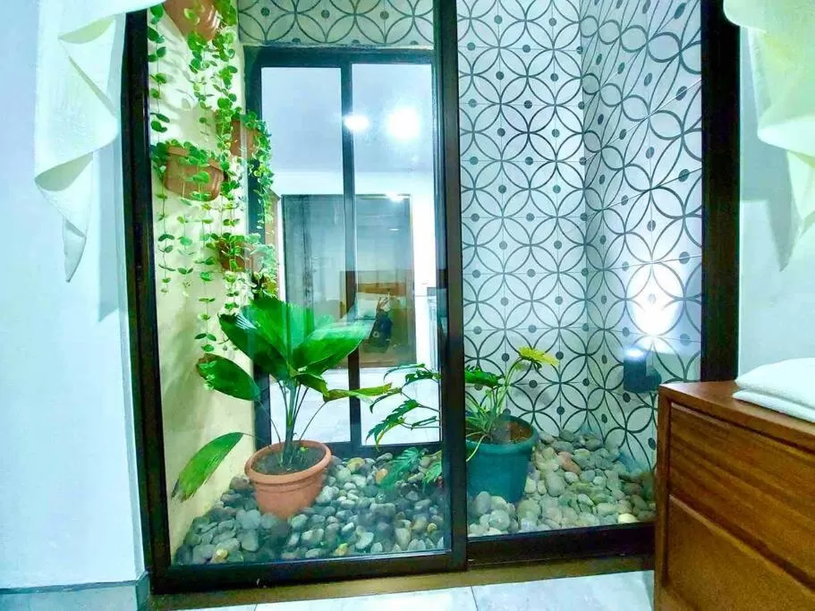 Patio in Airport SJO Residence - Edward & Familia Inn