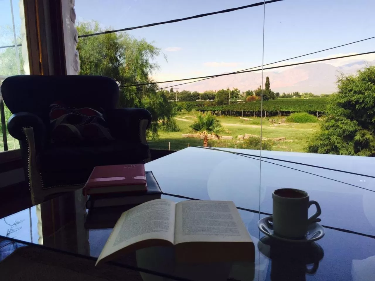 View (from property/room) in Hostal Andino - Adults Only