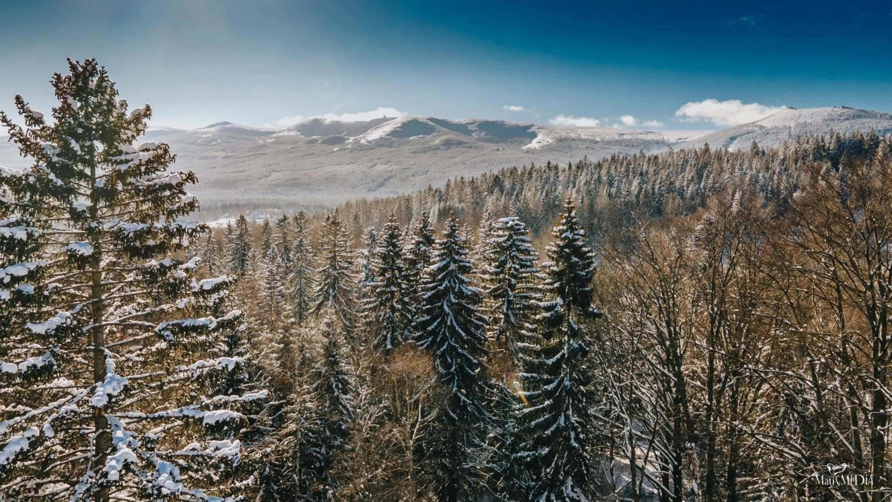 Mountain view in Norweska Dolina Family&Pet-friendly Resort