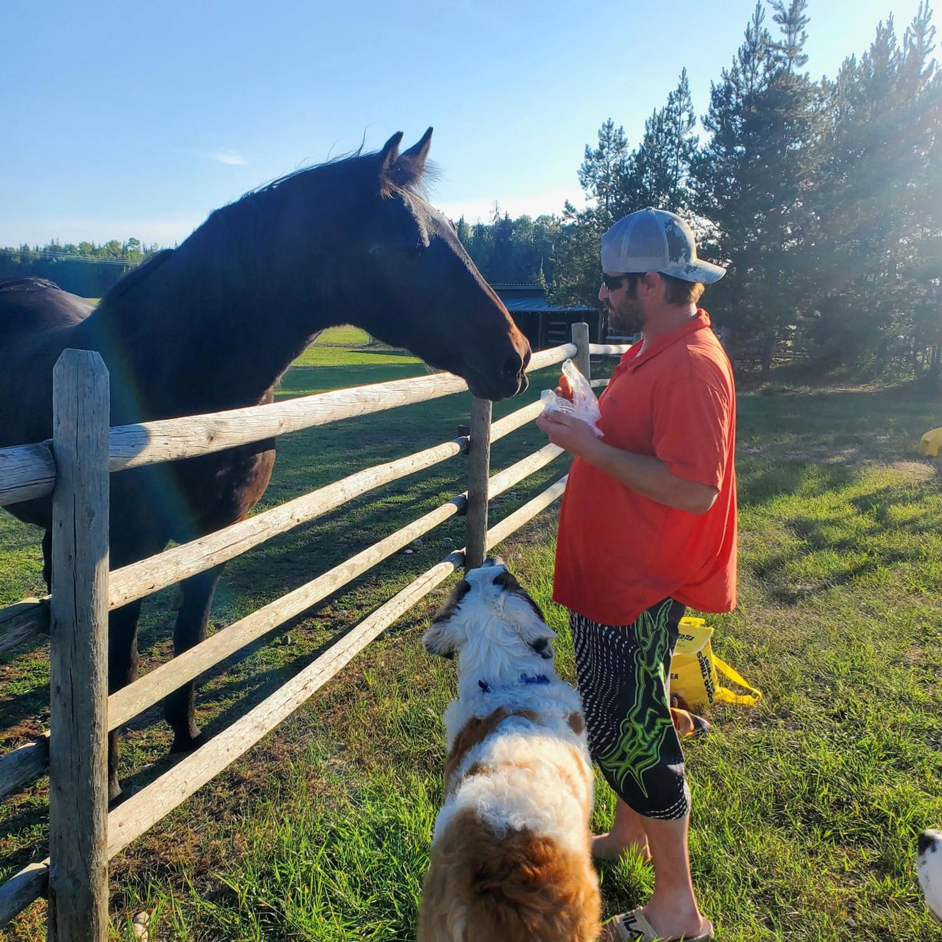 Natural landscape in Woodhouse Cottages And Ranch