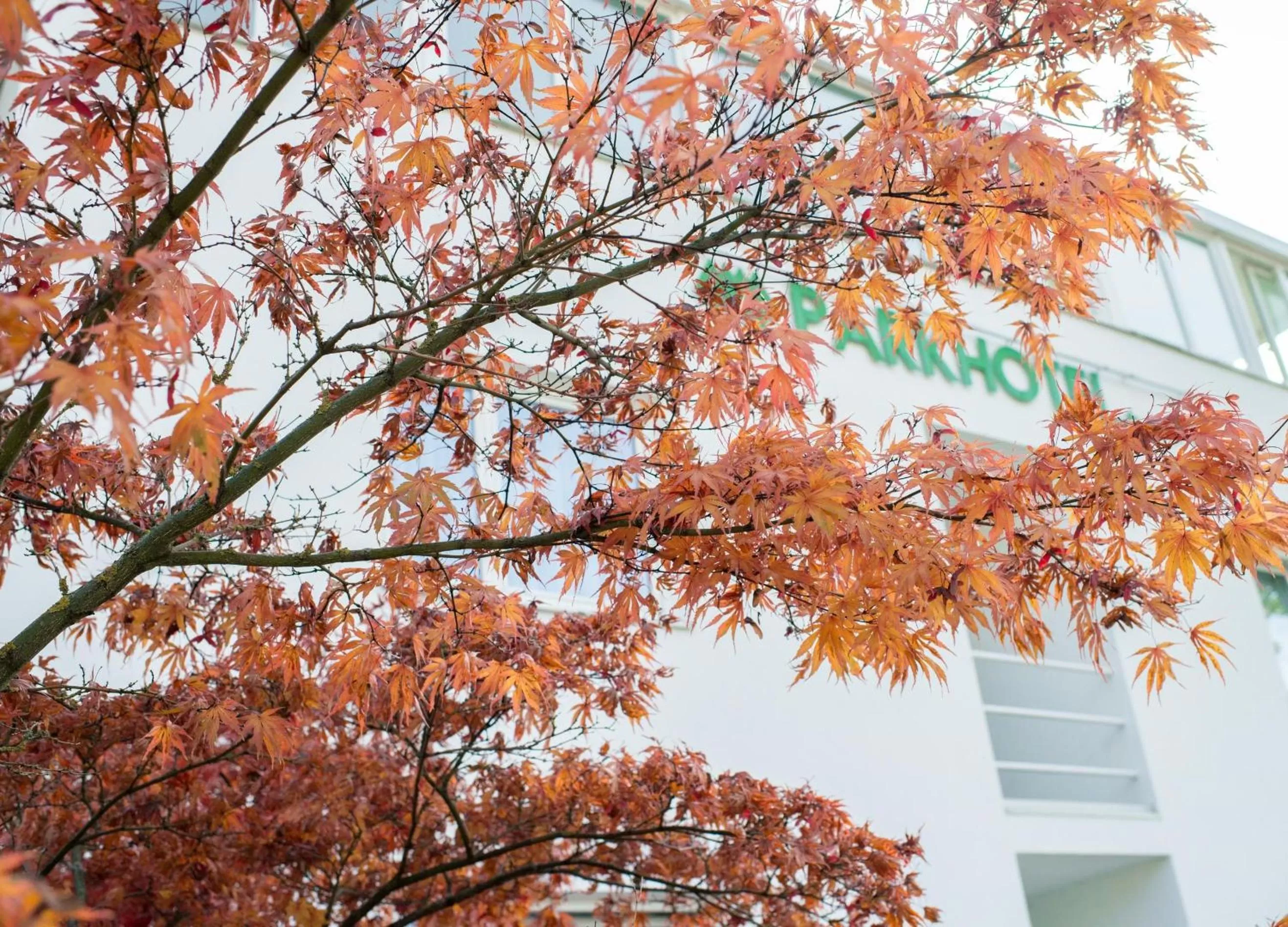 Other in Parkhotel Styria