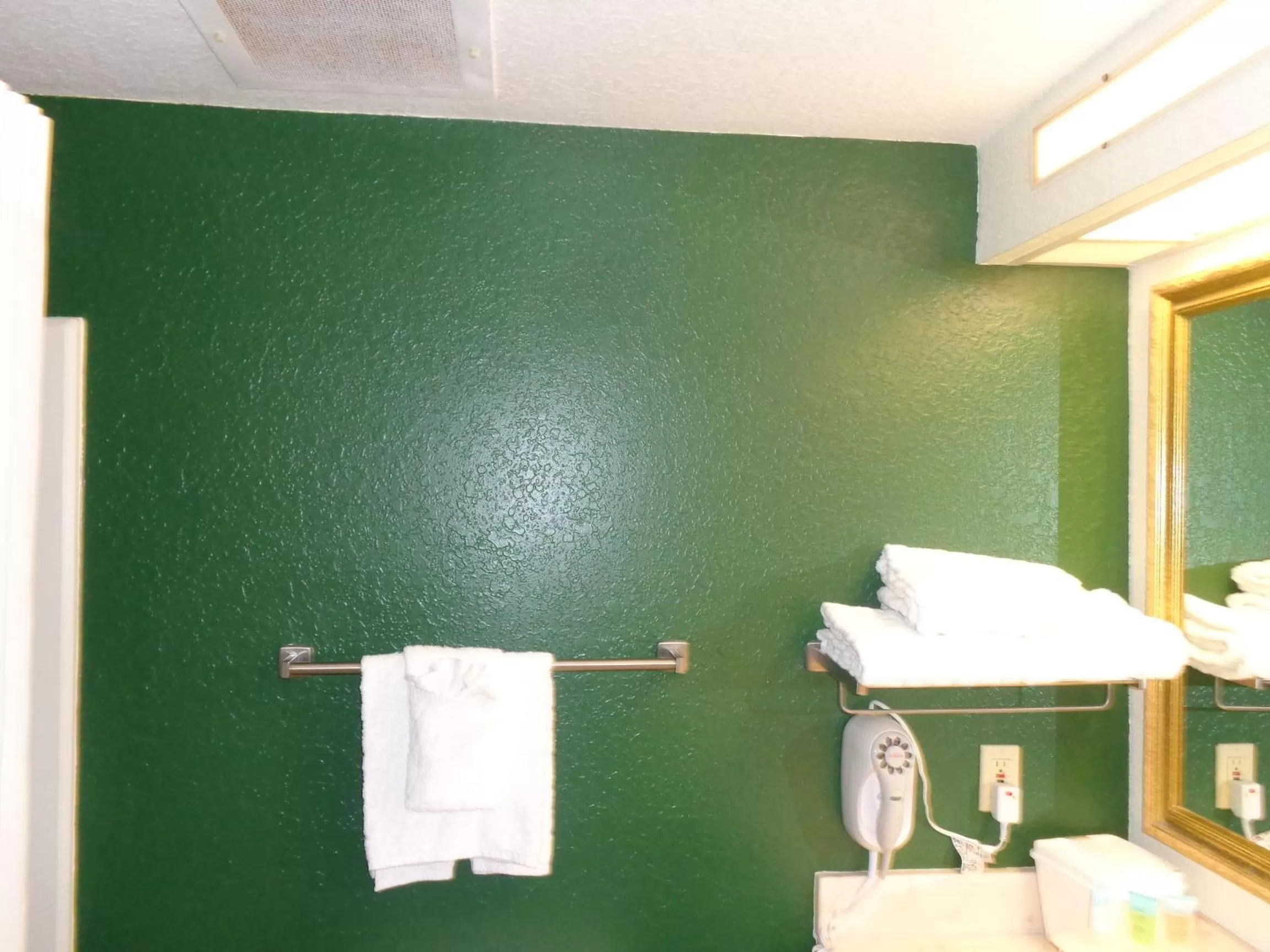 Bathroom in Ruskin Inn Tampa-Sun City Center