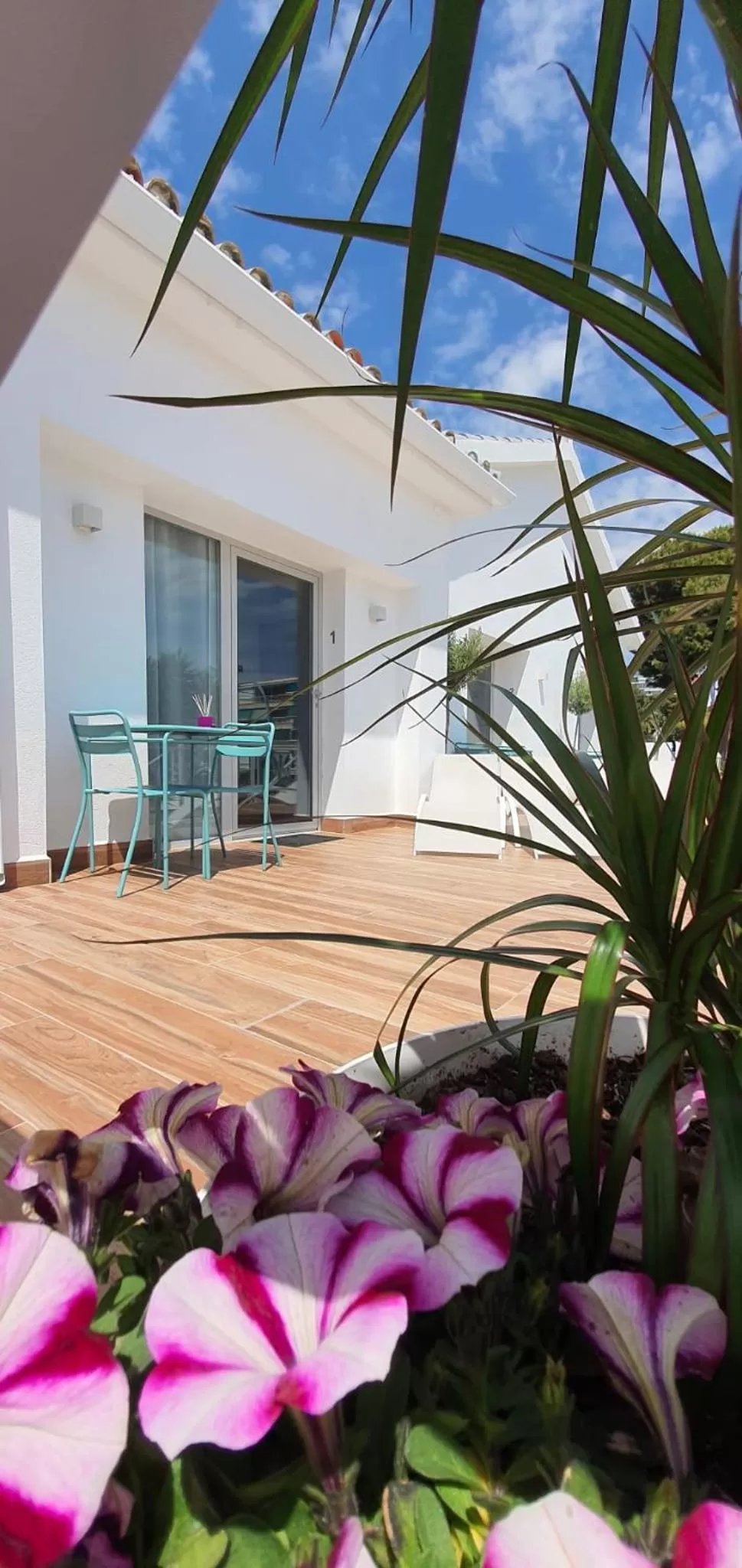 Property building in Sandra Rooms