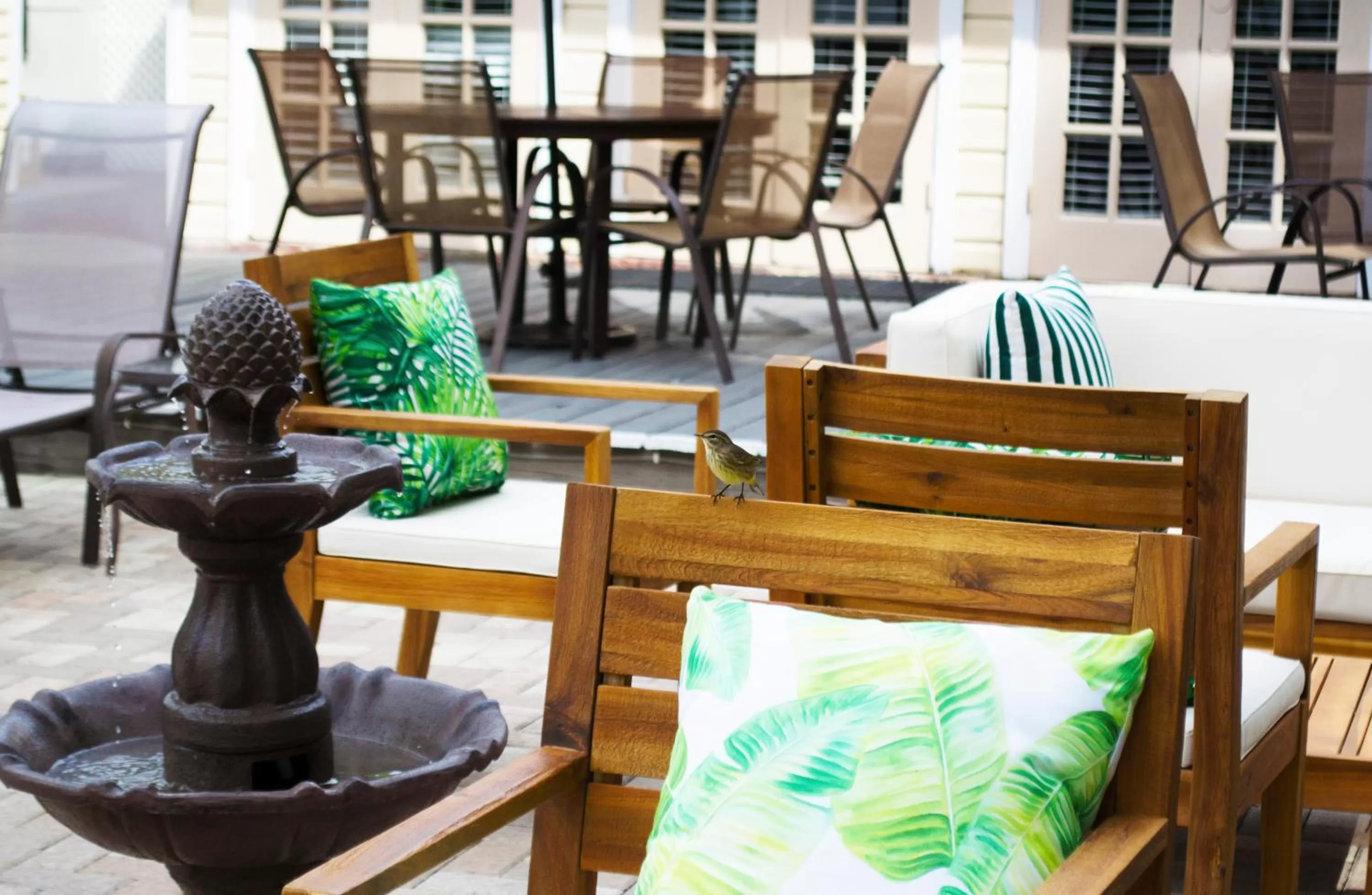 Patio in Duval House