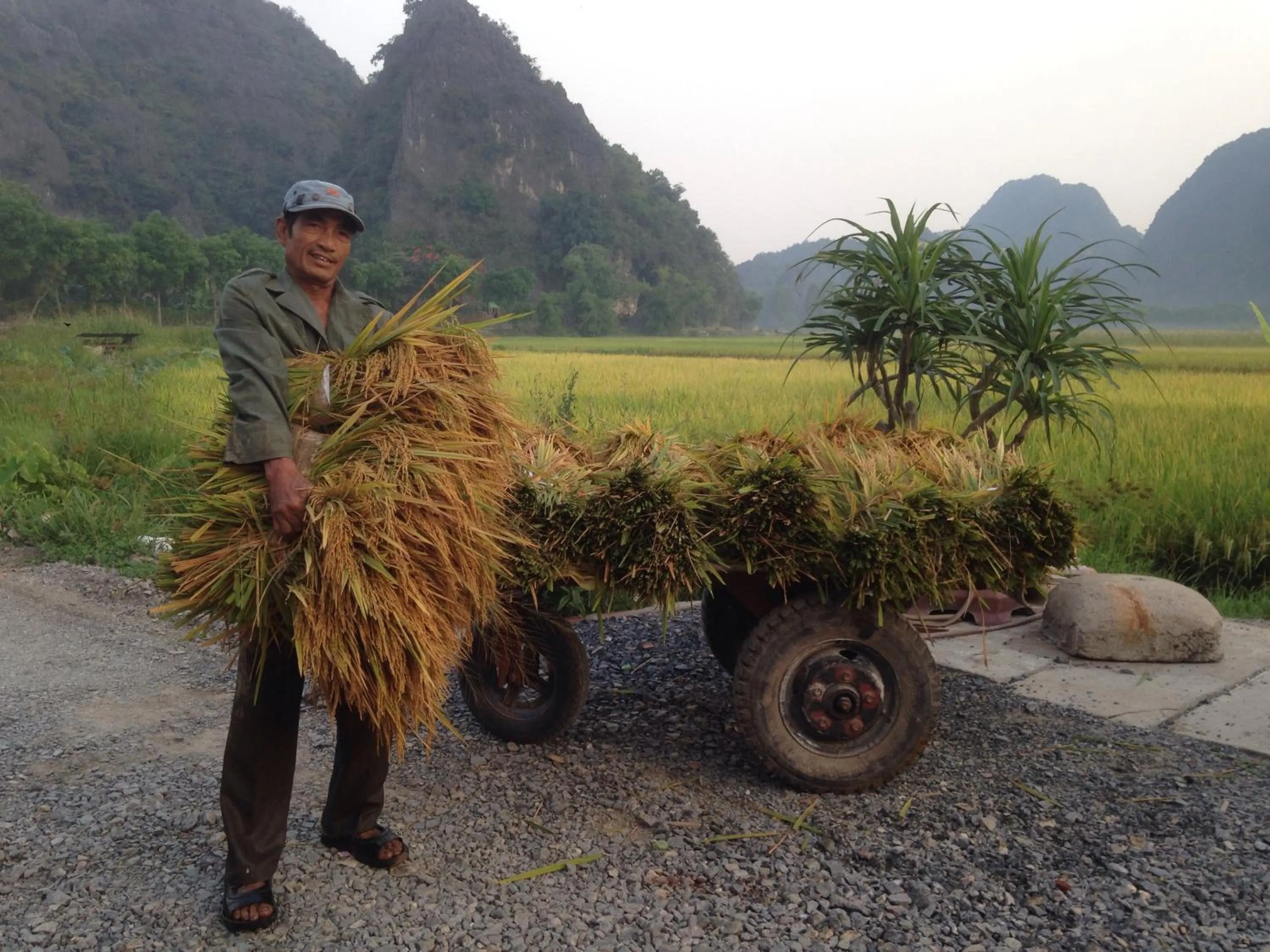 Tam Coc Mountain View Homestay