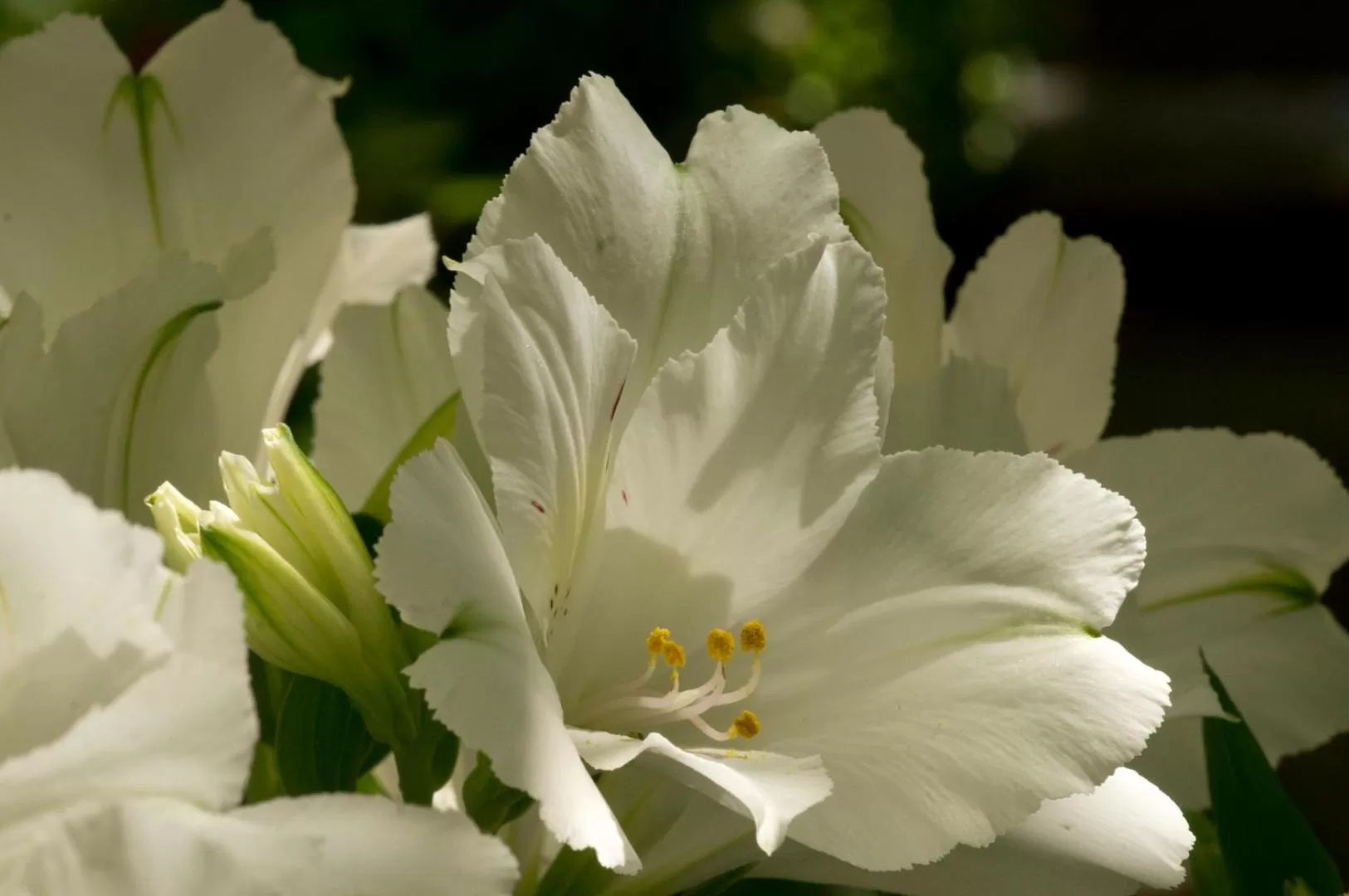 Hôtel A casa di Maria Cicilia