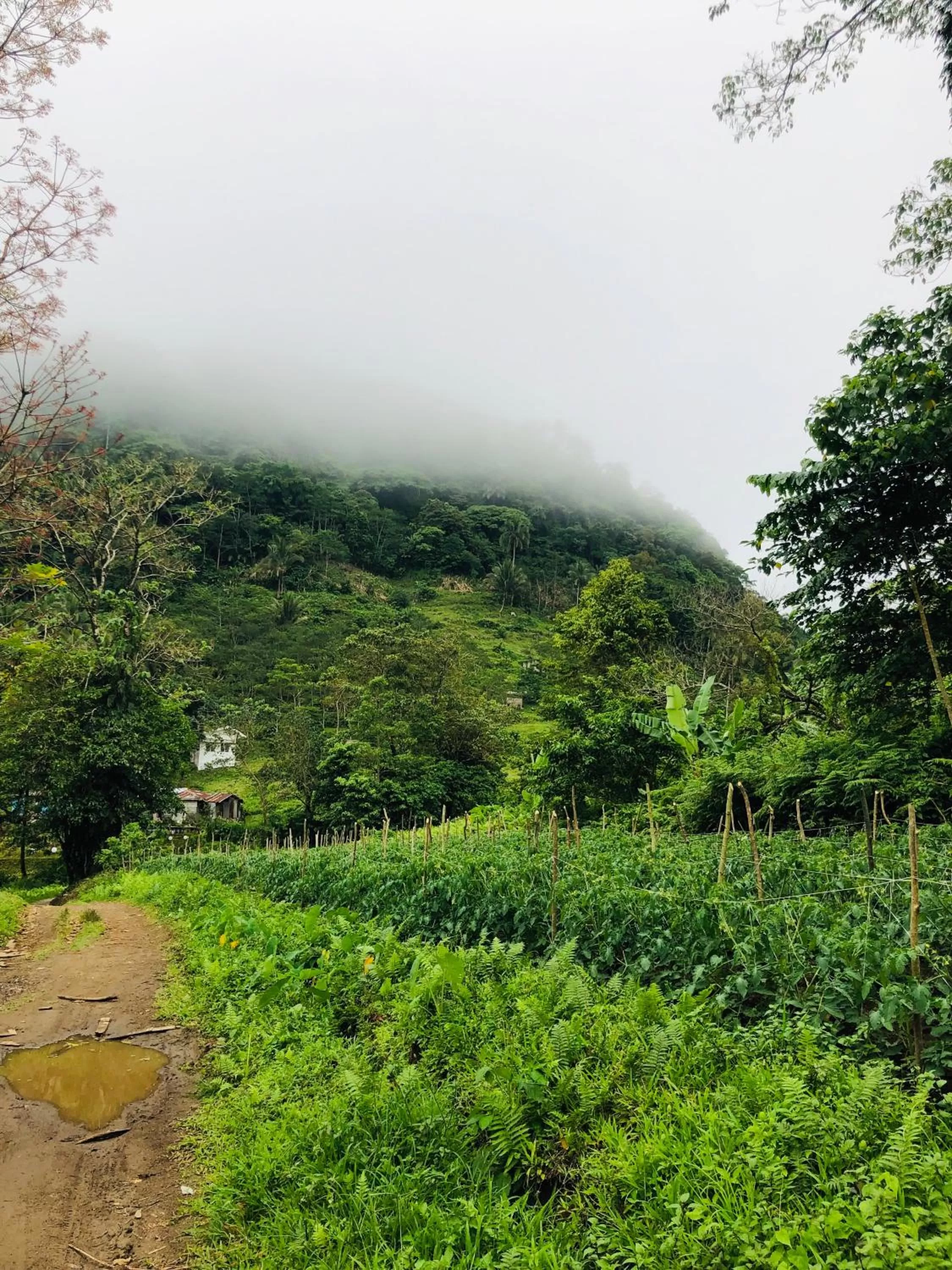 Natural landscape in Bintana sa Paraiso Binunsaran