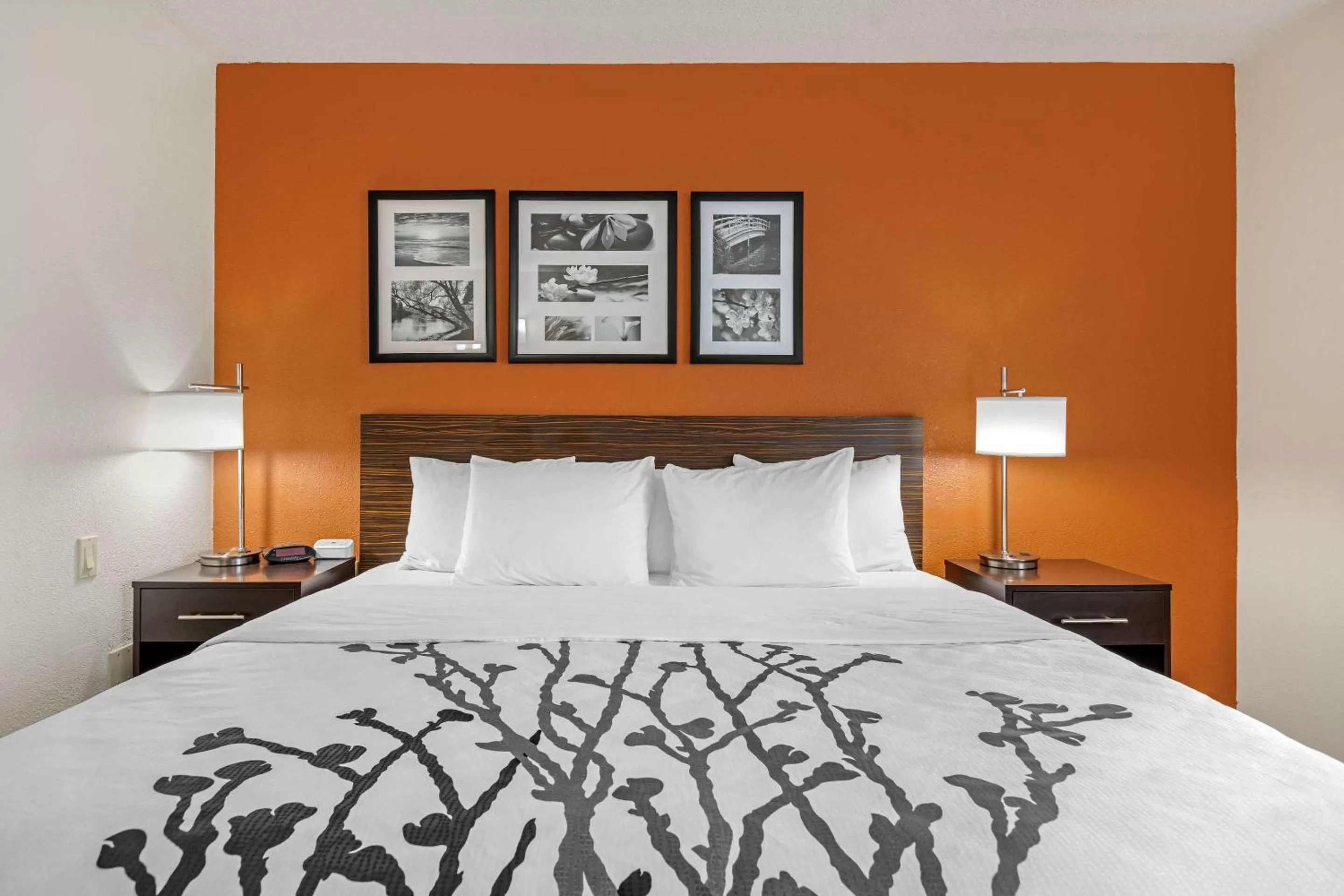 Photo of the whole room, Bed in Sleep Inn DeWitt - Lansing North