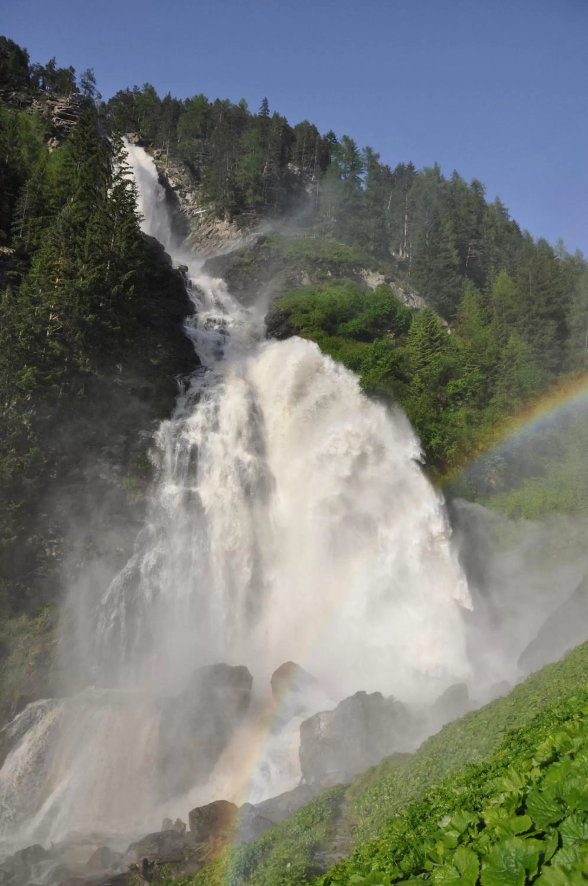 Area and facilities in Gasthof zum Stern