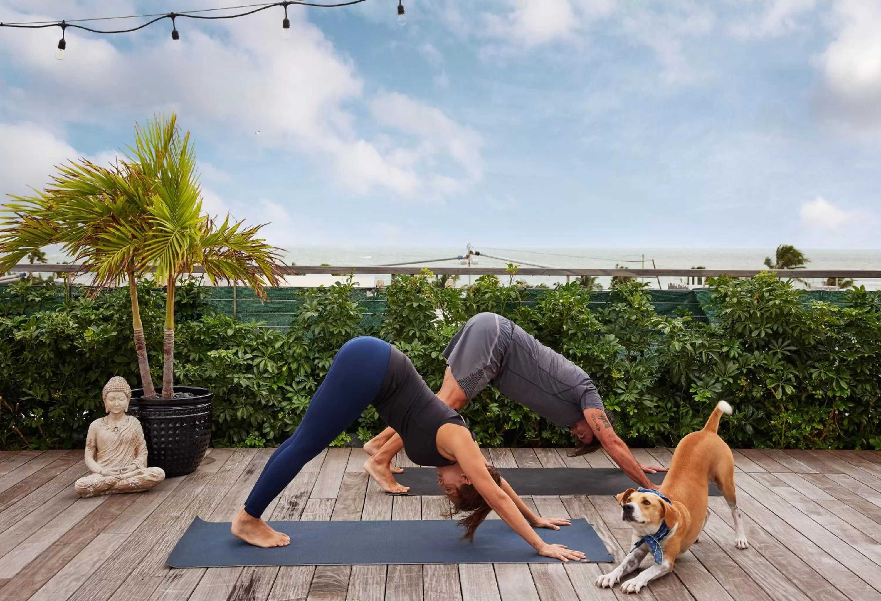 Fitness centre/facilities in The Betsy Hotel, South Beach