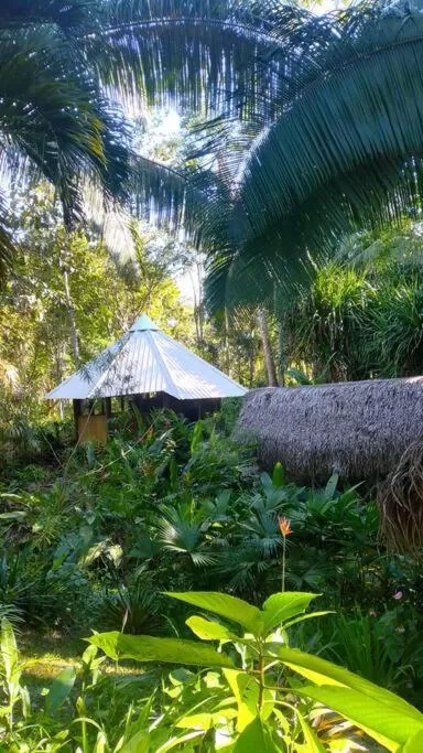 Day in Sun Creek Lodge