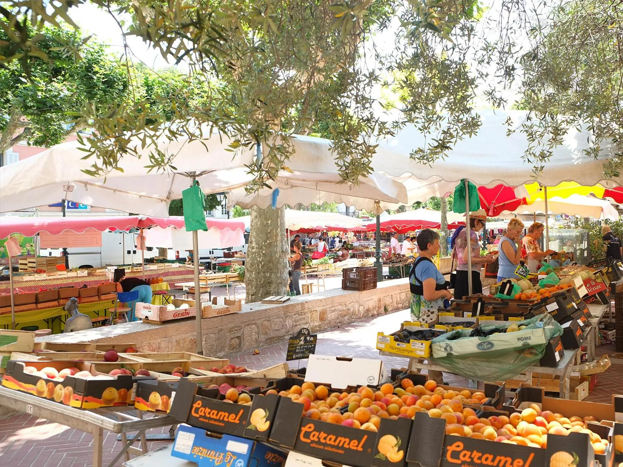 Area and facilities in Hôtel CASABELLA Cannes Mouans Sartoux