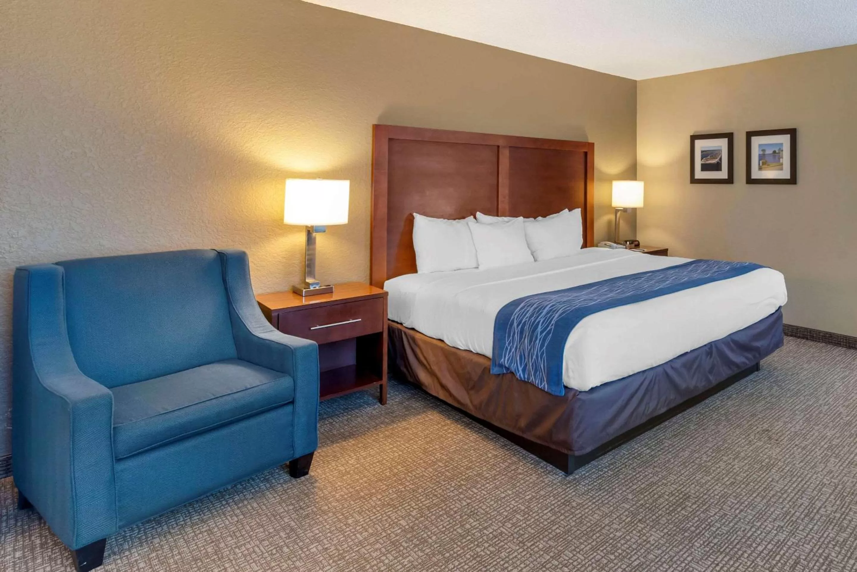 Standard King Room in Comfort Inn Elizabeth City near University