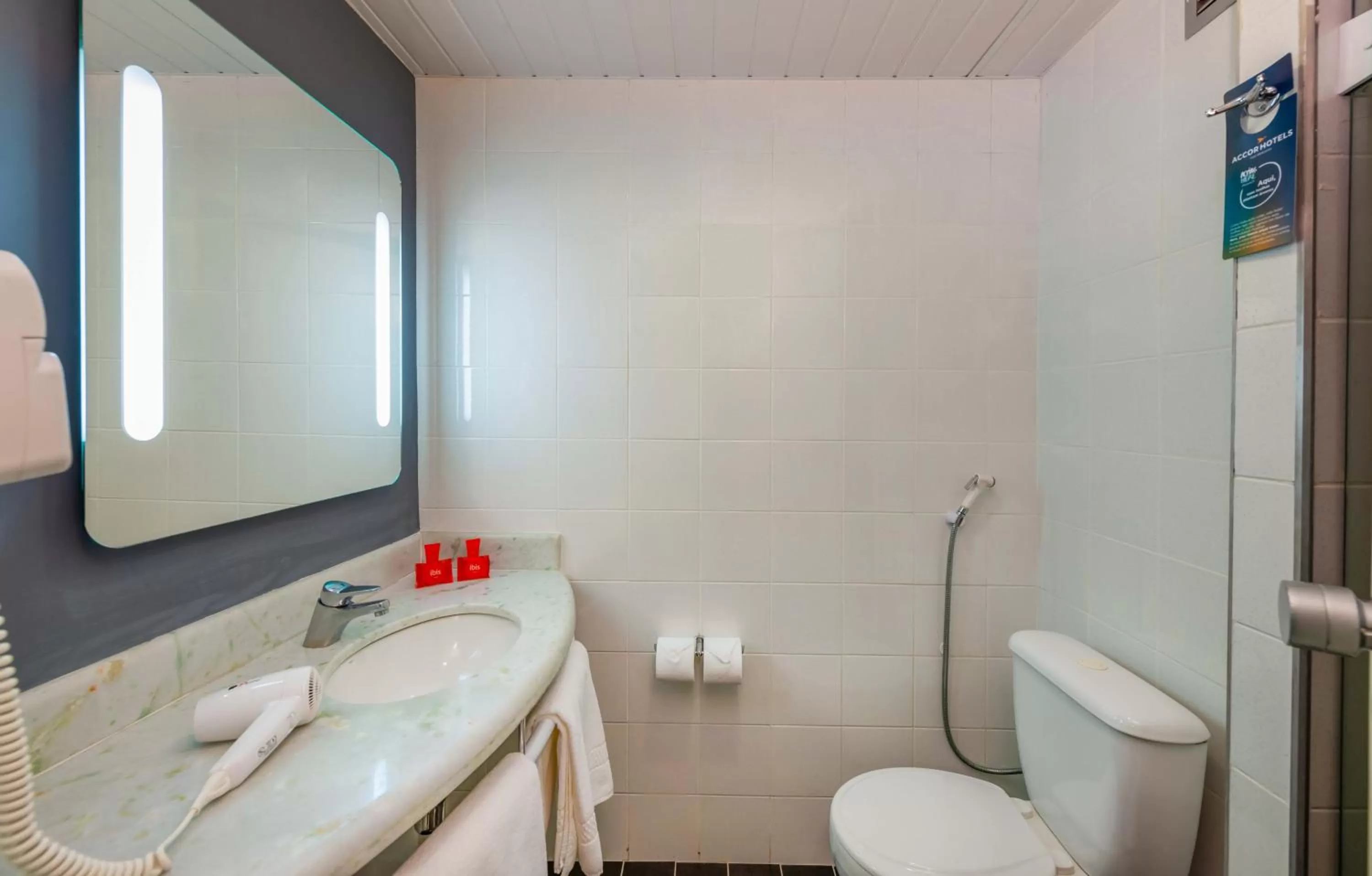 Bathroom in ibis Paulinia