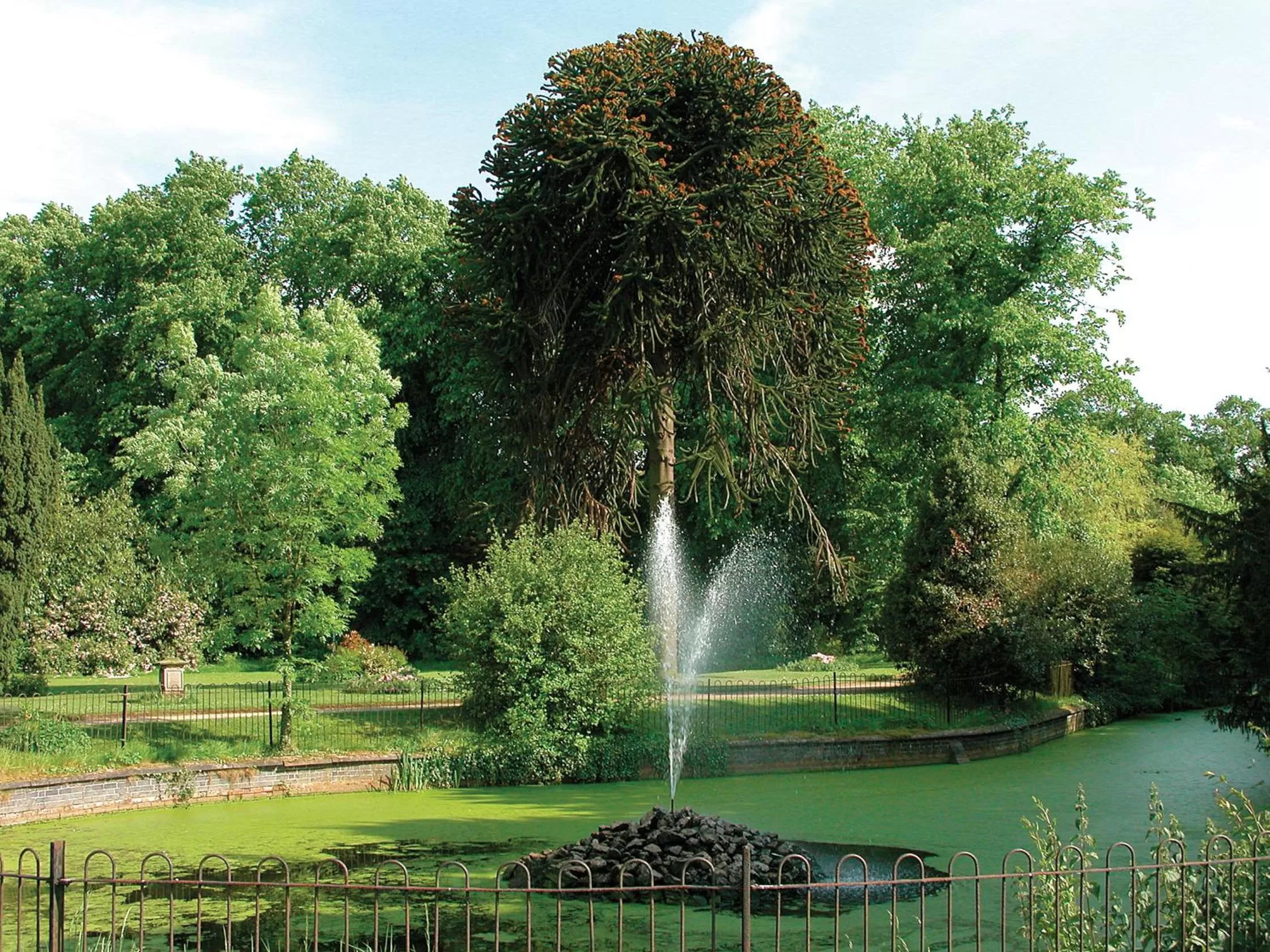 Natural landscape in Bosworth Hall Hotel & Spa